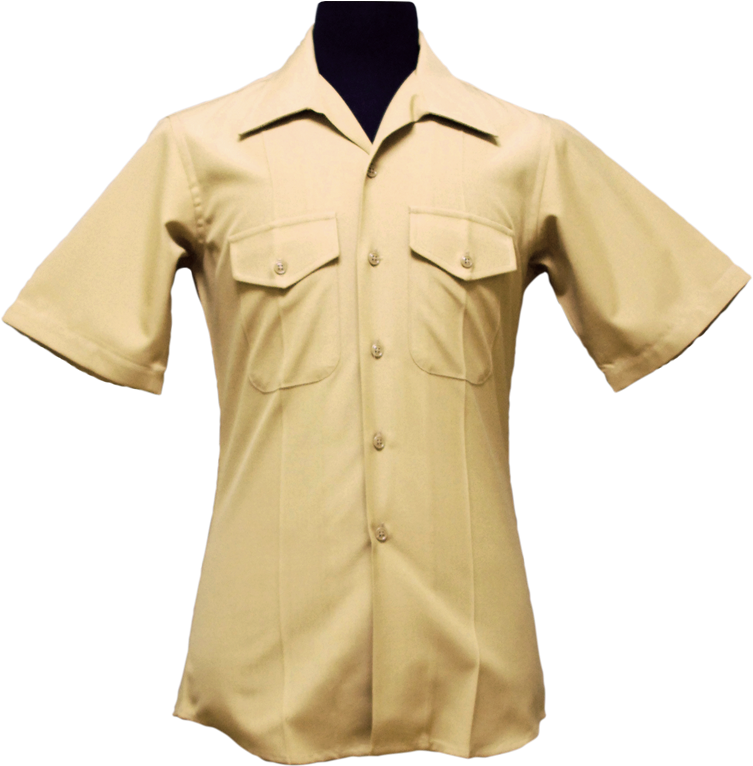 Beige Short Sleeve Dress Shirt PNG