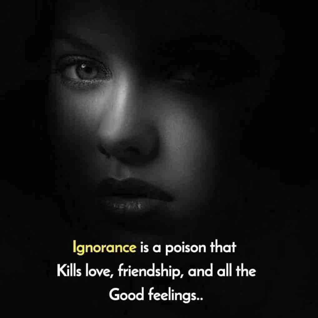 Being Ignorant Is A Poison Wallpaper