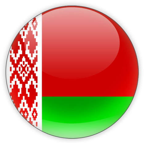 Belarus National Flag Button PNG