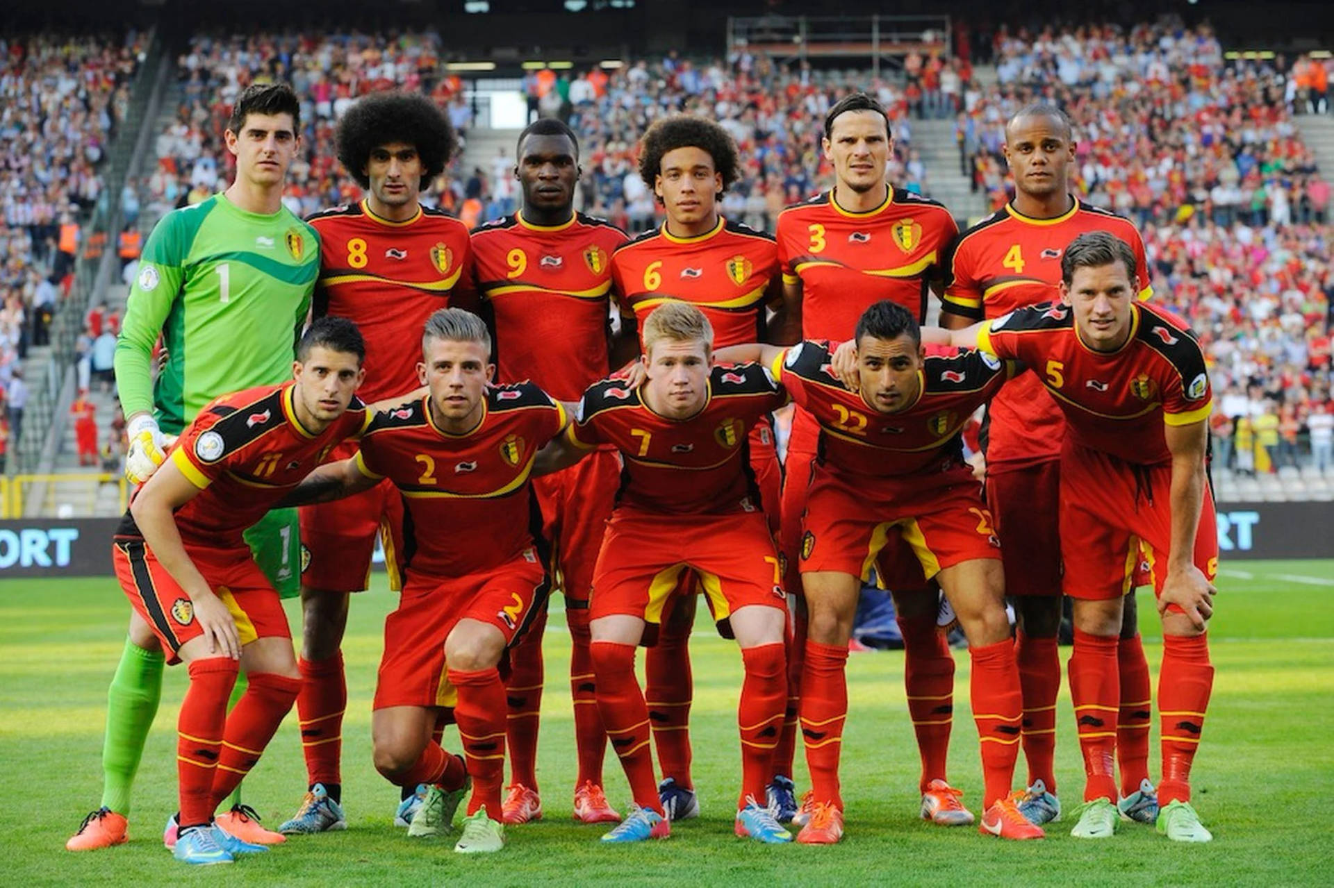 Belgium National Football Team Groupie Wallpaper