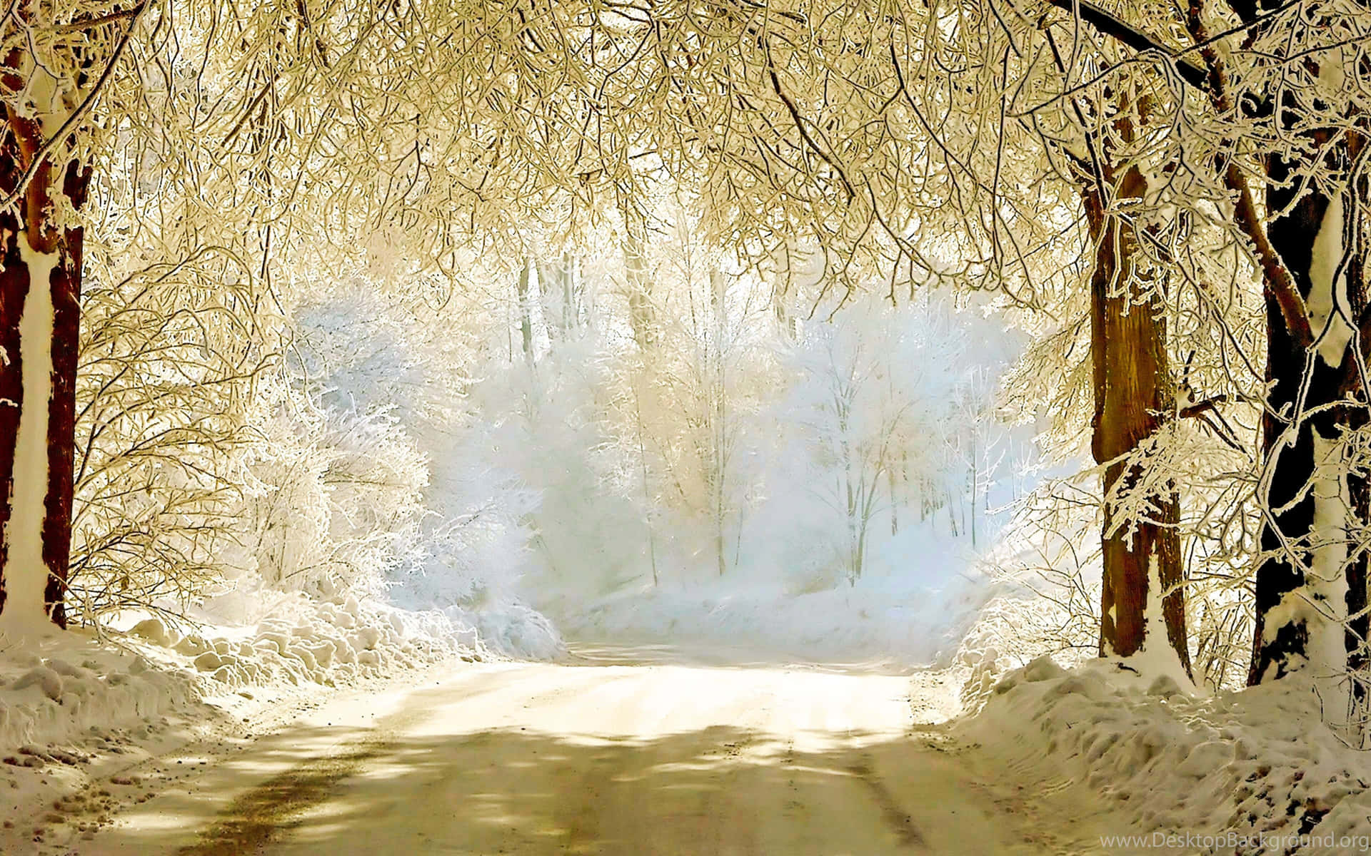 Bellissimosfondo Invernale