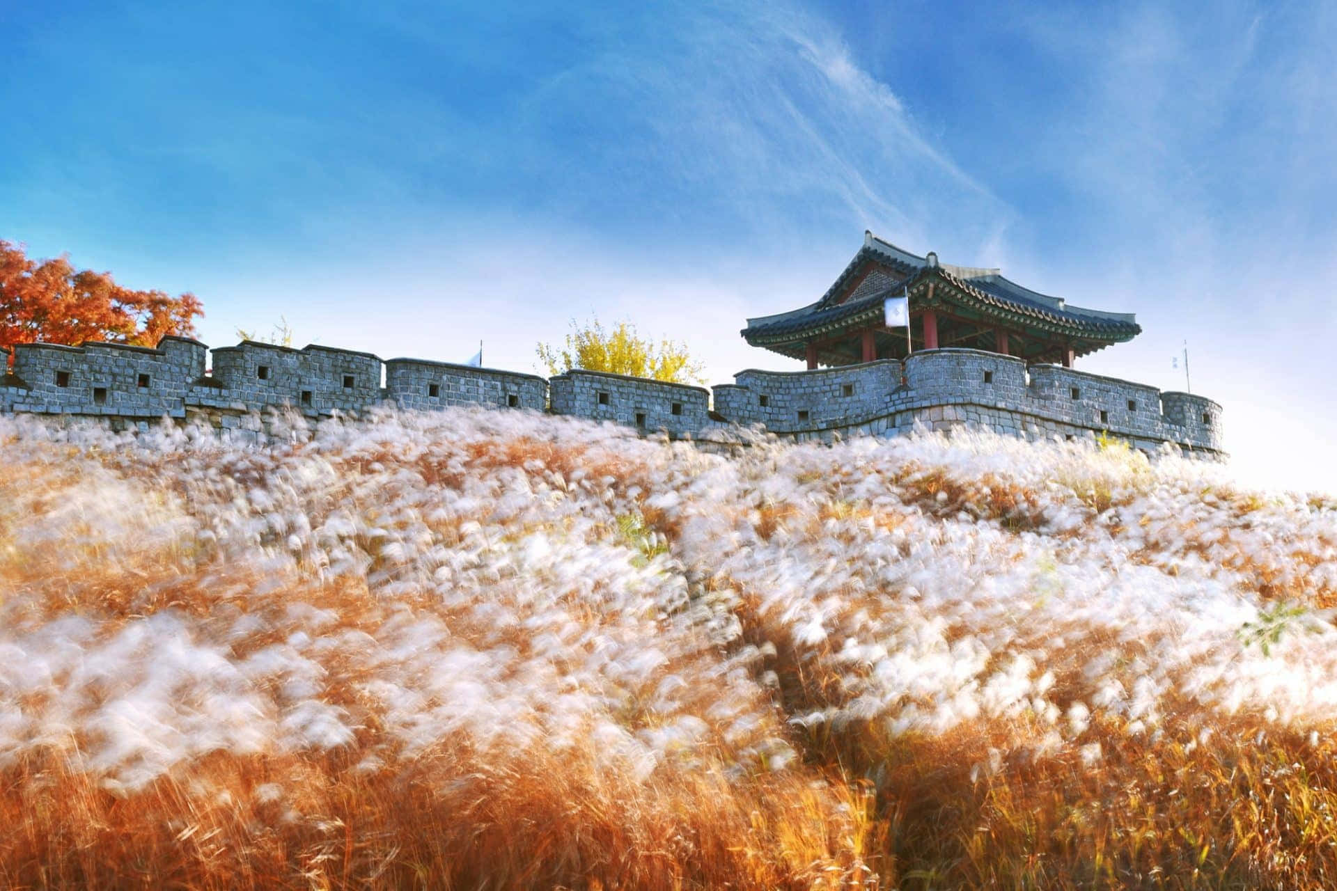 Bellissimoskyline Della Corea Del Sud Al Crepuscolo