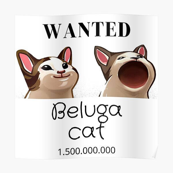 Beluga Cat Sticker Wallpaper