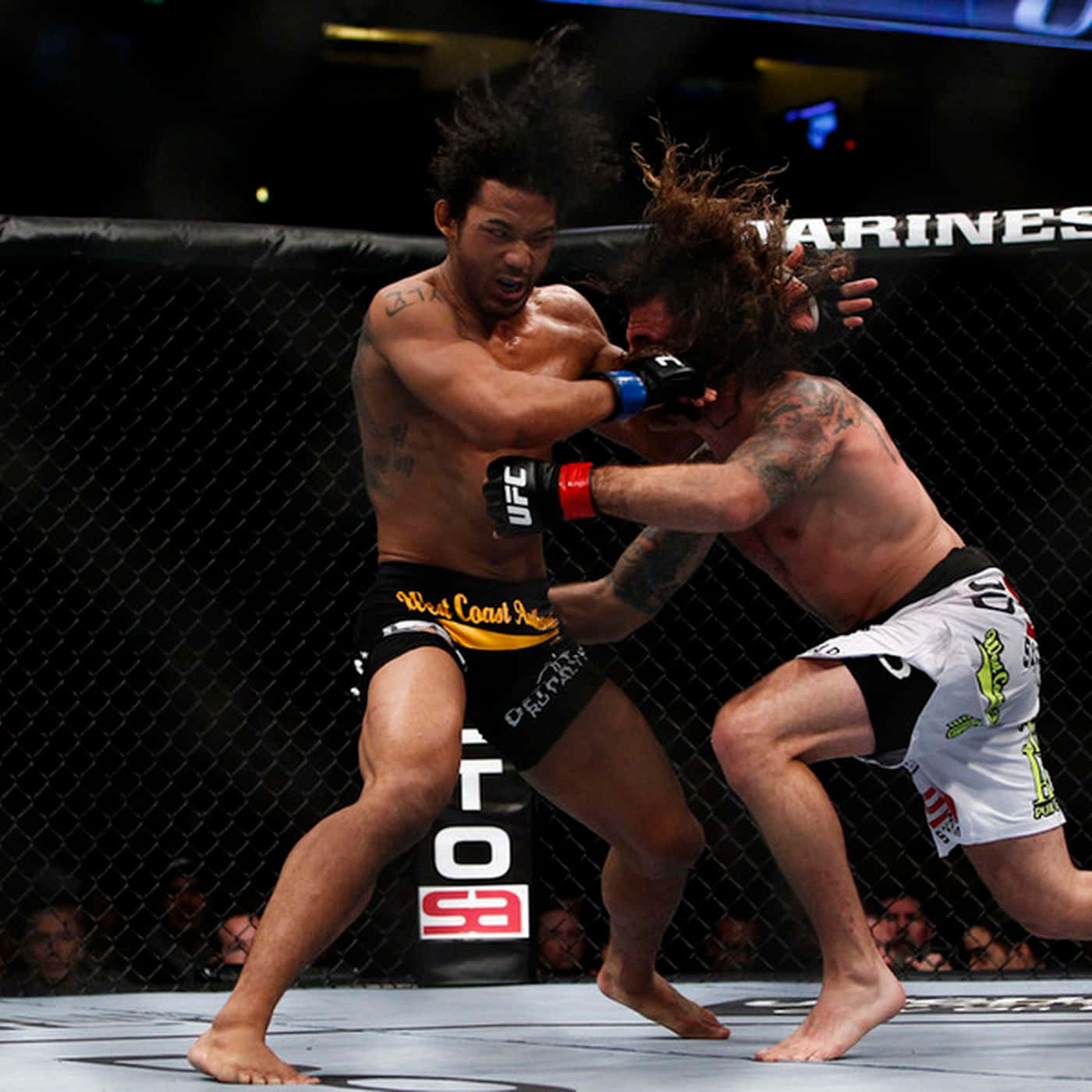 Korean American UFC Champ shares the secrets of his success  The Seattle  Globalist