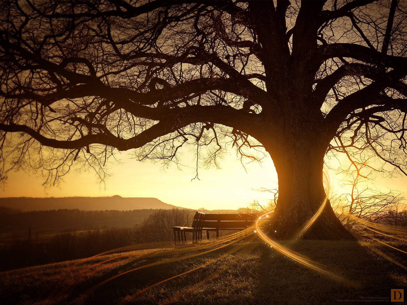 Bench And Tree Sunset Desktop Wallpaper