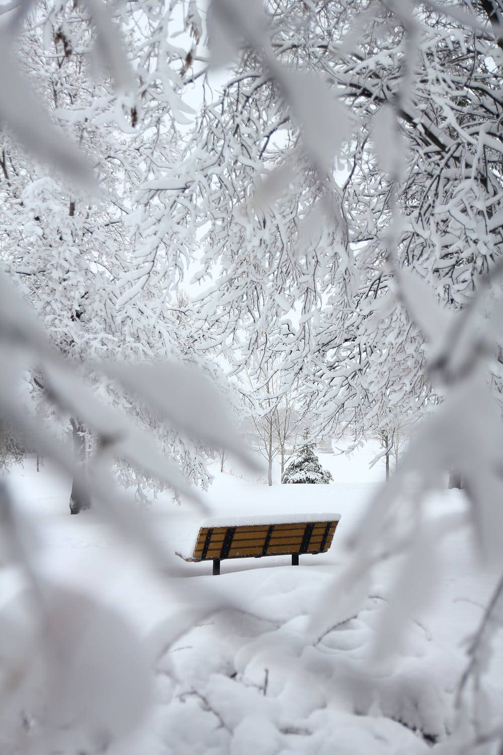 Bench In Snow Winter iPhone Wallpaper
