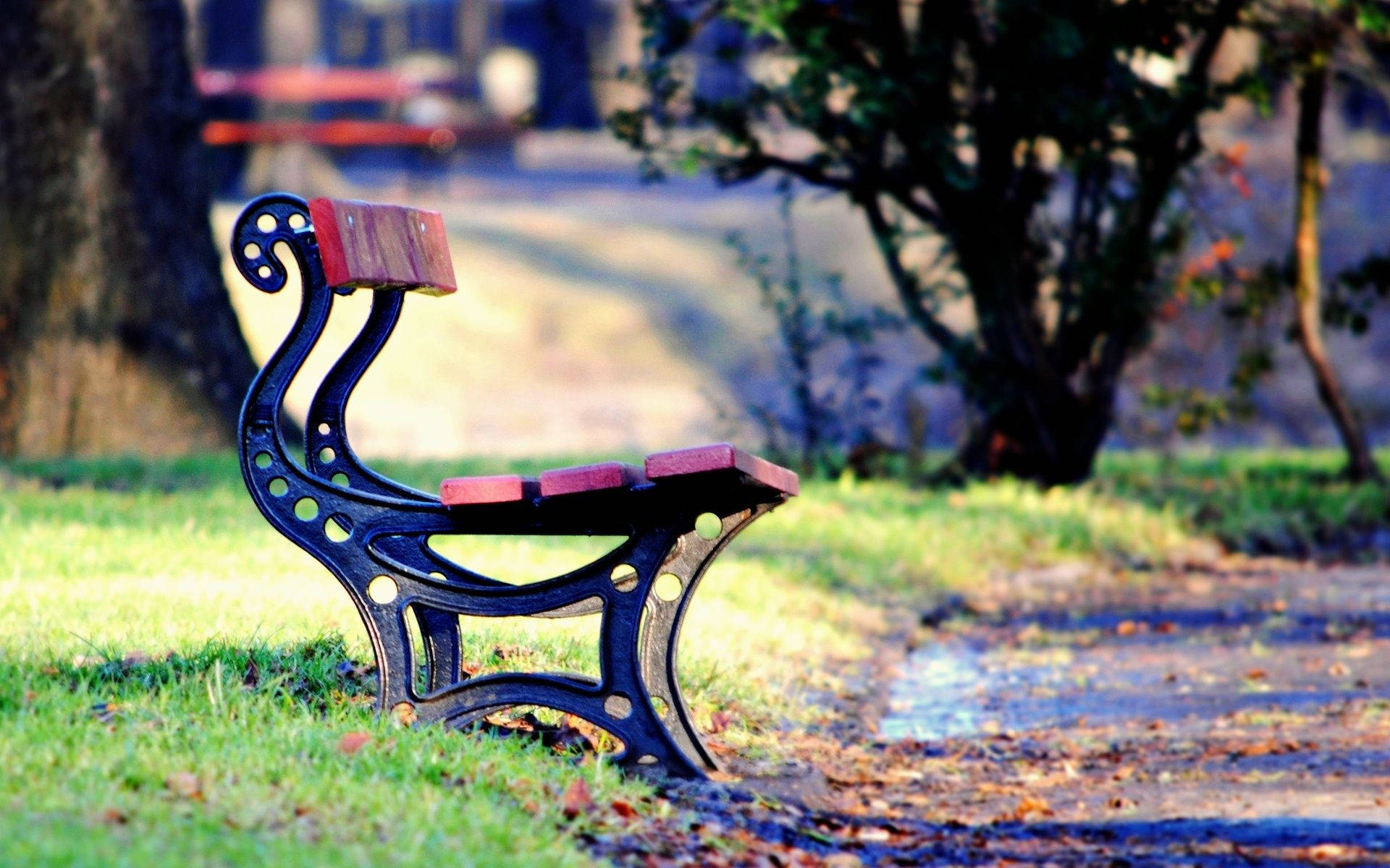 Bench On A Park Wallpaper