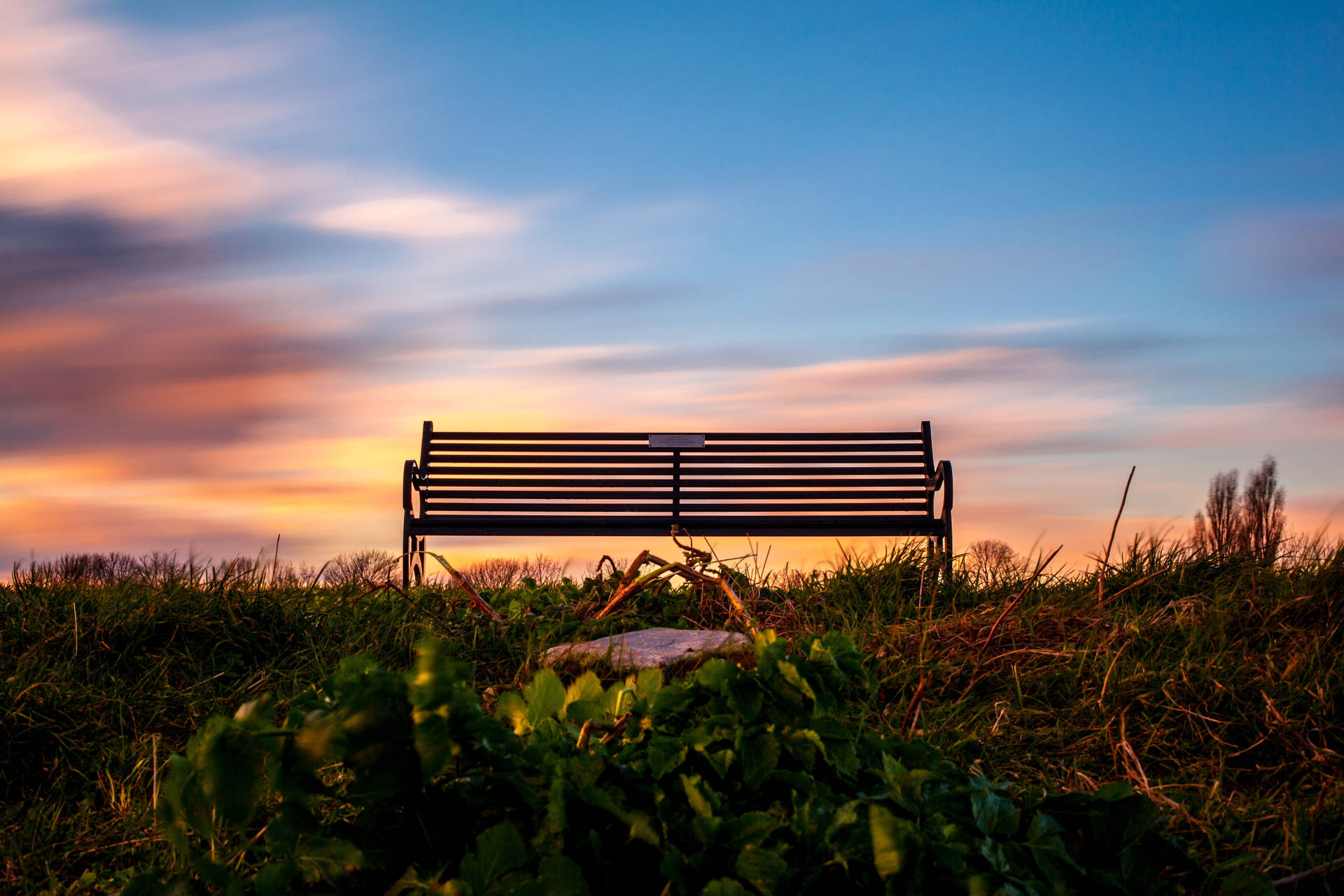 Bench On Meadow Wallpaper