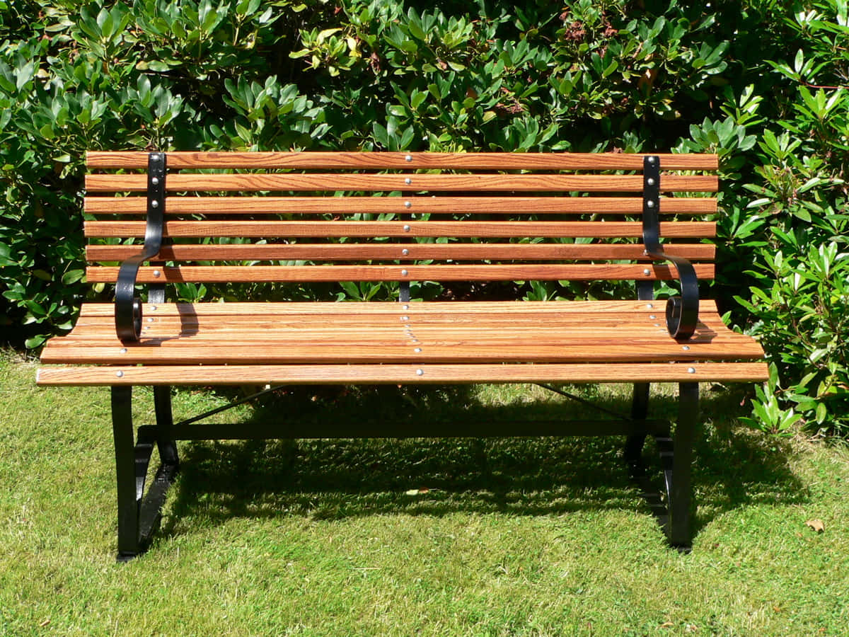 A Wooden Bench In The Grass