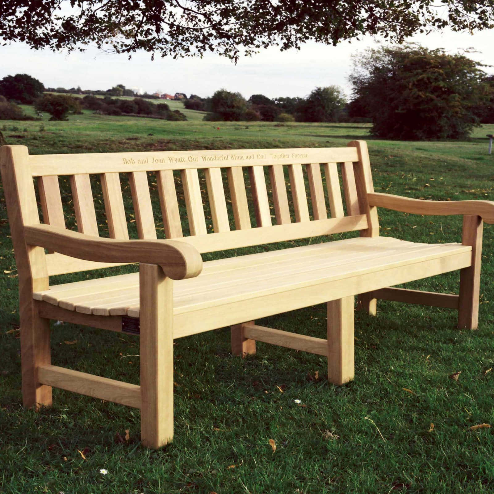 Enjoy the great outdoors with a Bench