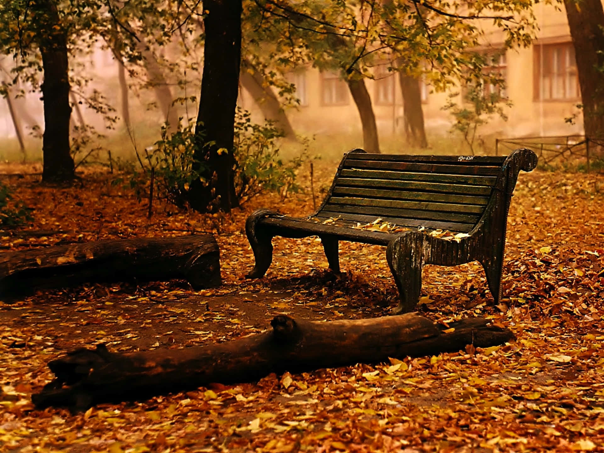 Take a seat and enjoy nature’s beauty from the comfort of our cozy bench.