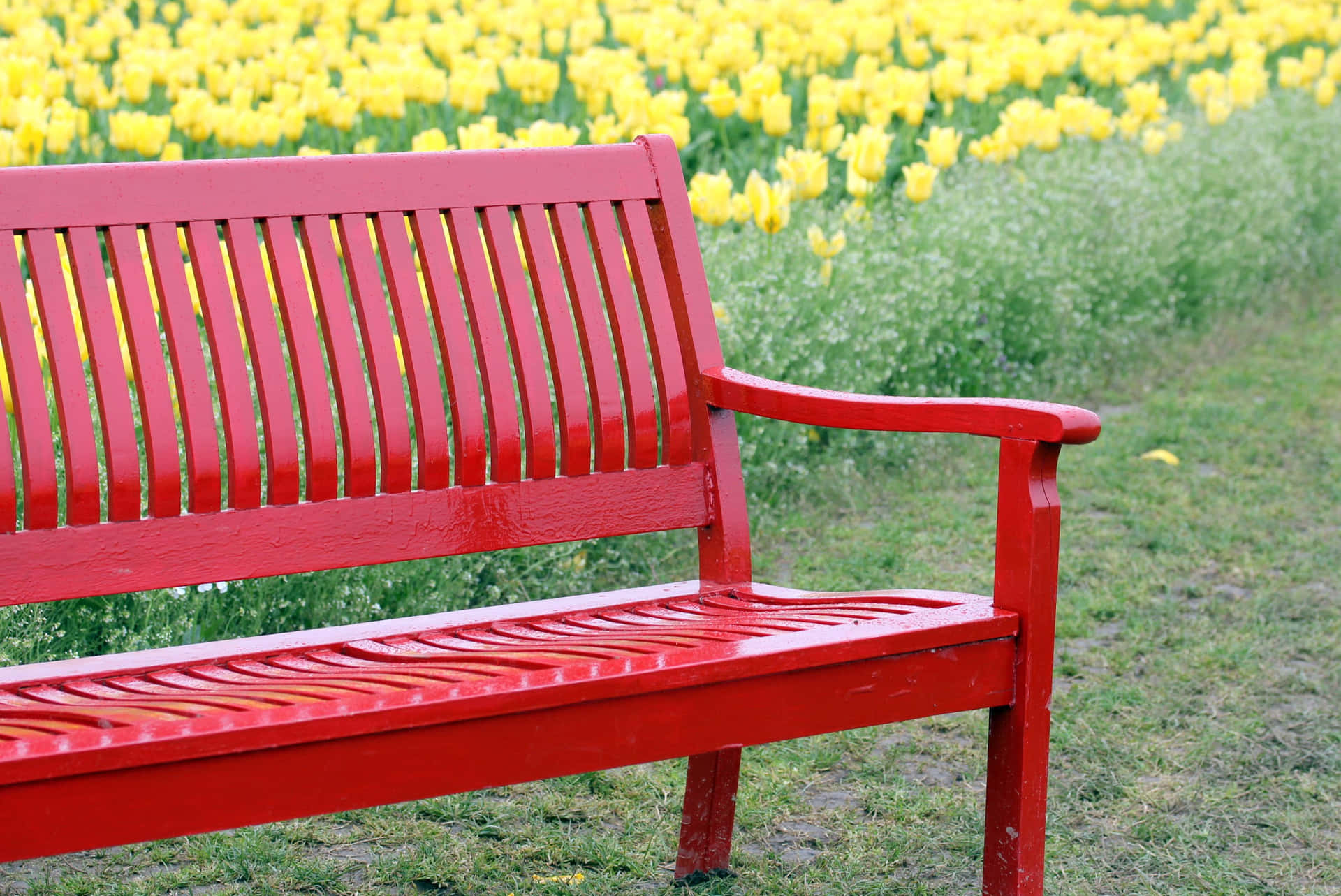 Take a Moment To Relax On This Wooden Bench