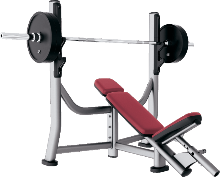 Bench Press Station Professional Gym Equipment PNG