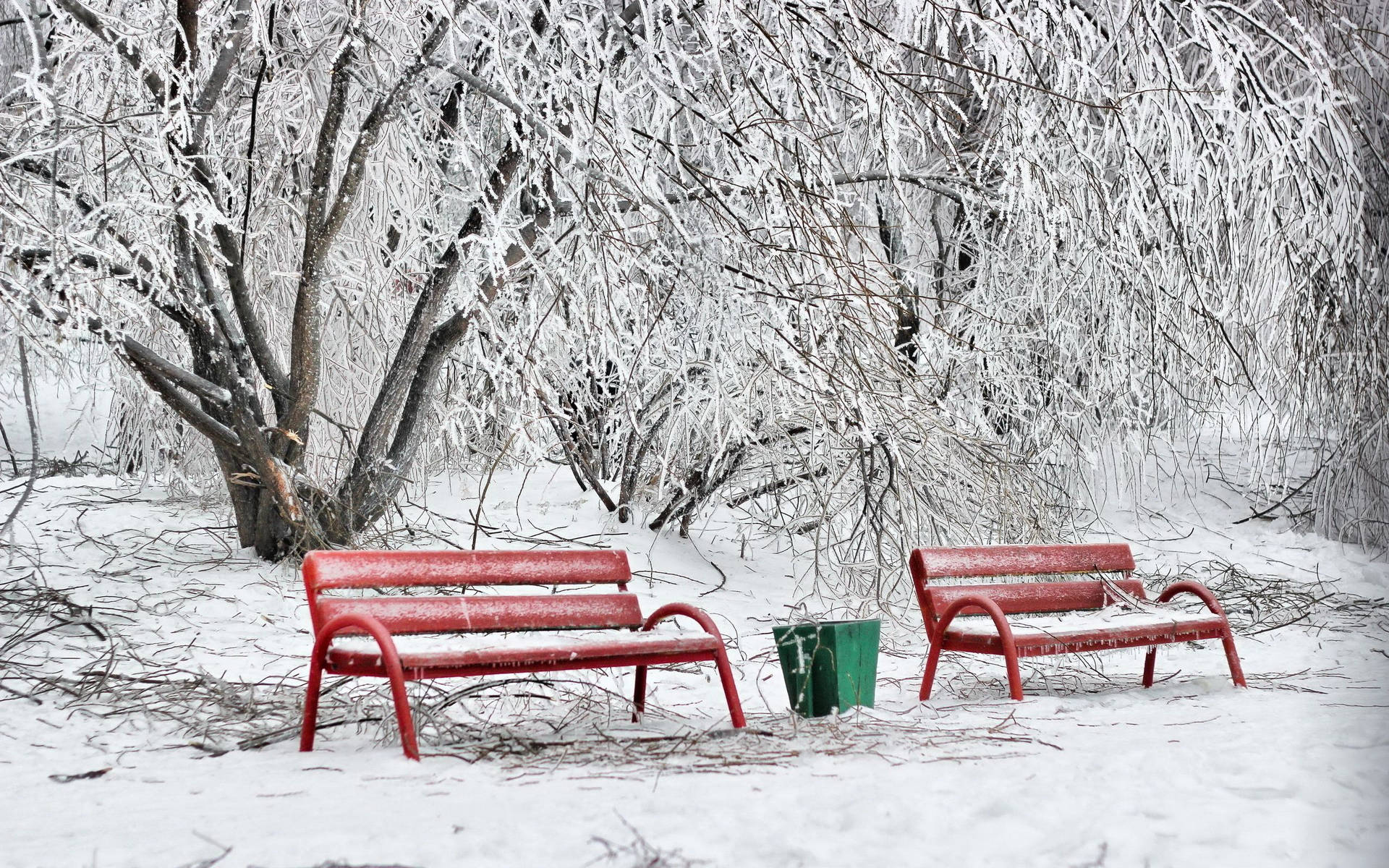 Benches On Snow Wallpaper