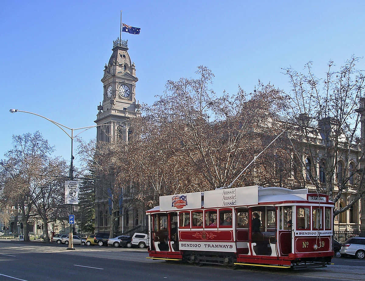 Bendigo Historic Tramand Town Hall Wallpaper