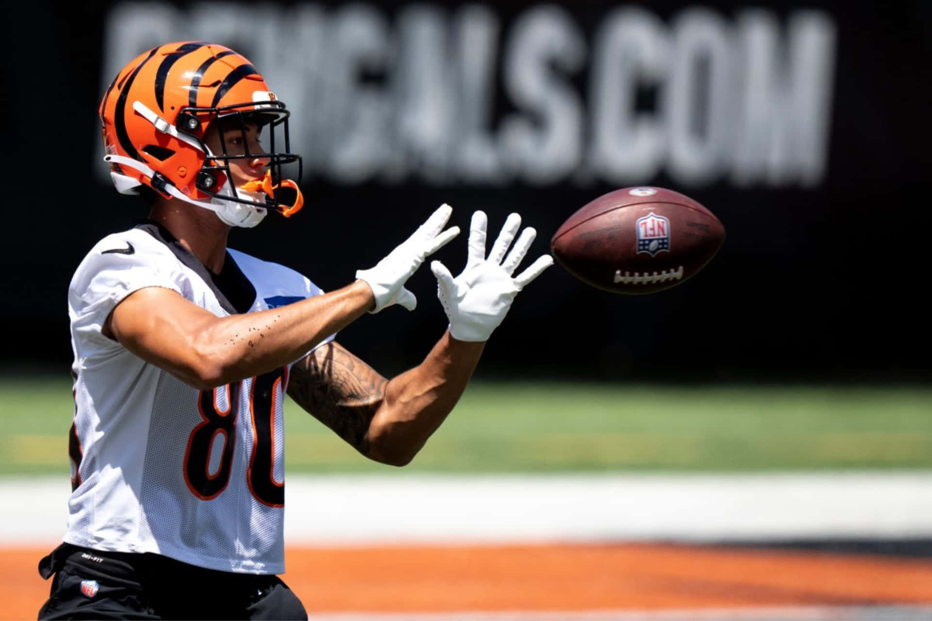 Bengals Player Catching Football Practice Wallpaper