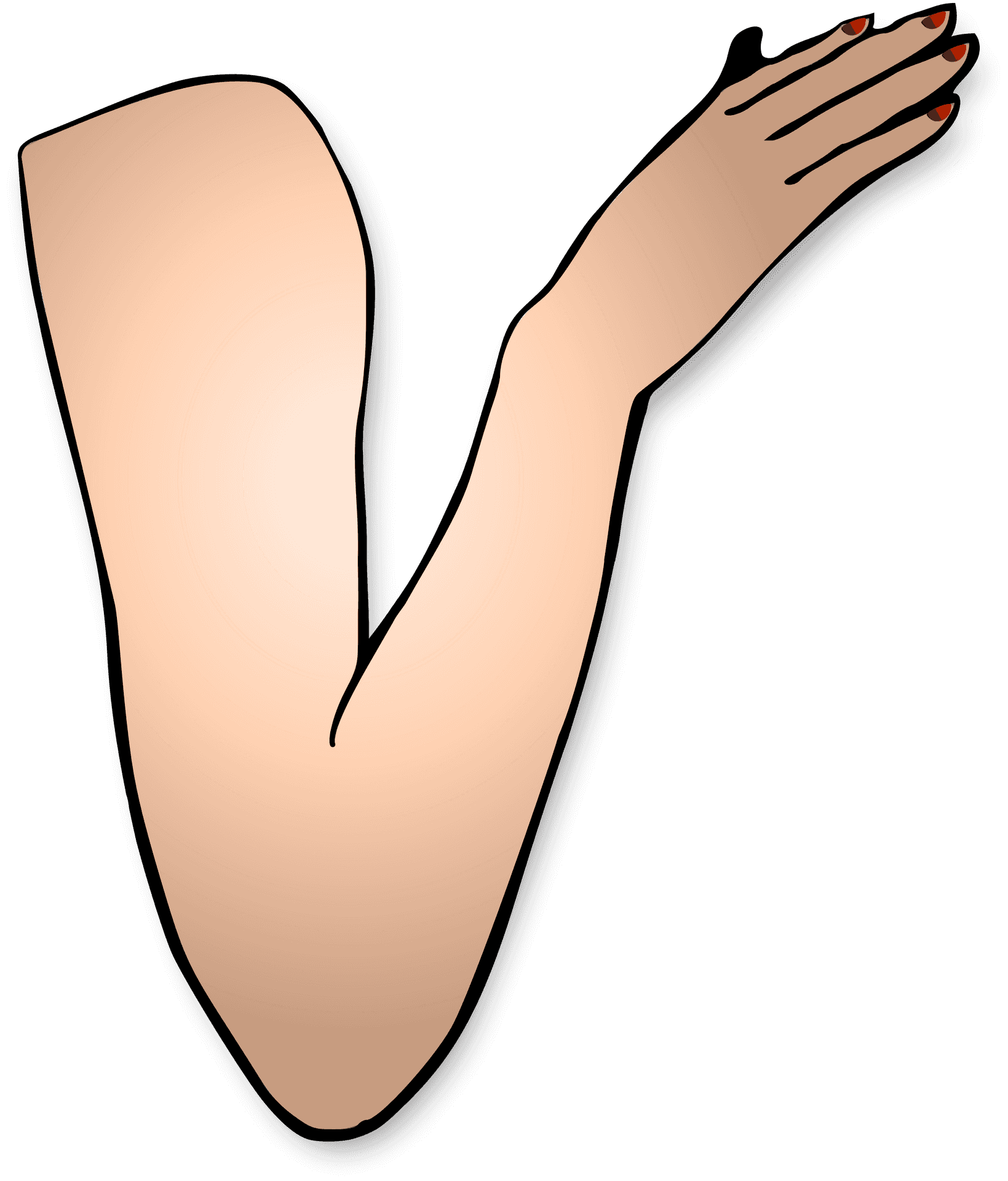 Bent Arm Illustration.png PNG