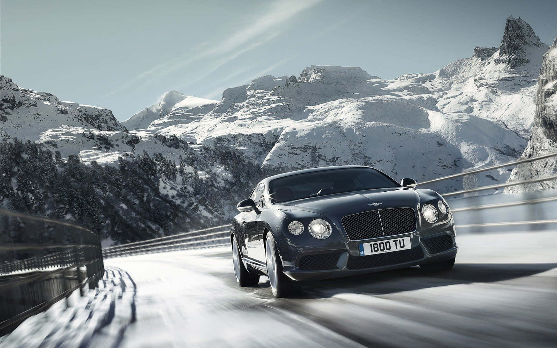 Experience Elegance and Opulence with Bentley