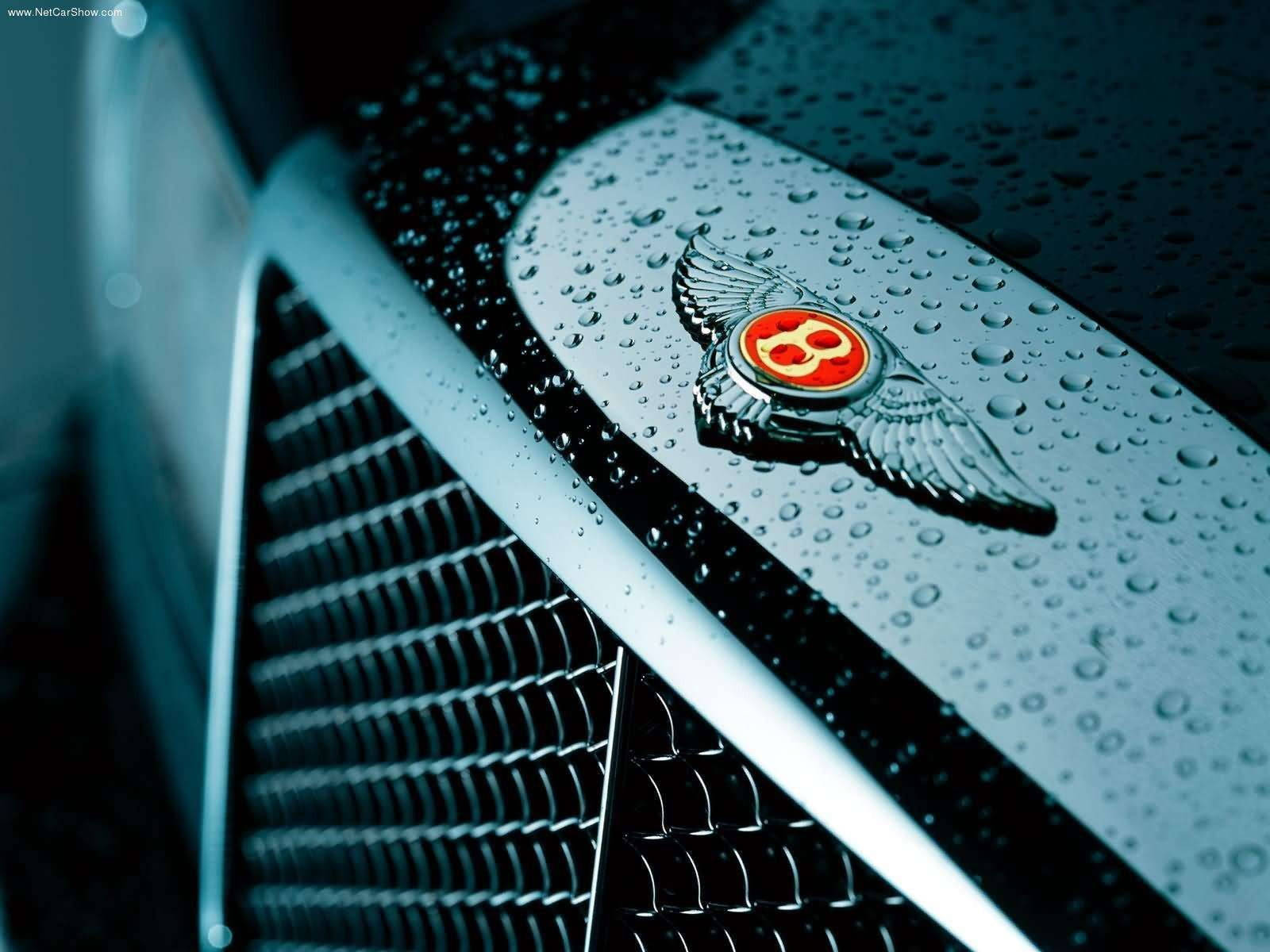 Bentley Cars Emblem Raindrops Wallpaper