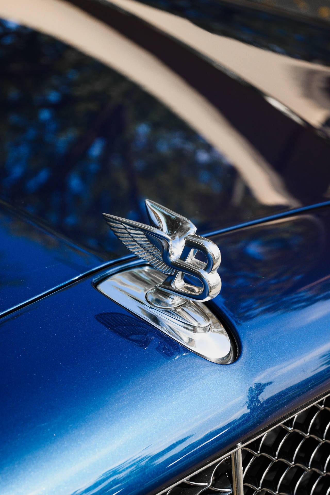 Bentley Cars Flying B Logo Wallpaper
