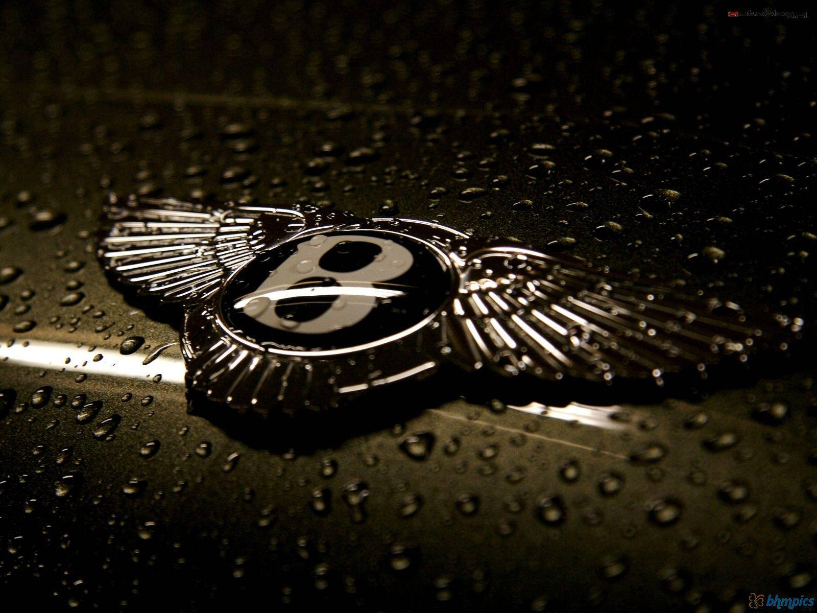 Bentley Logo Minimalist Design