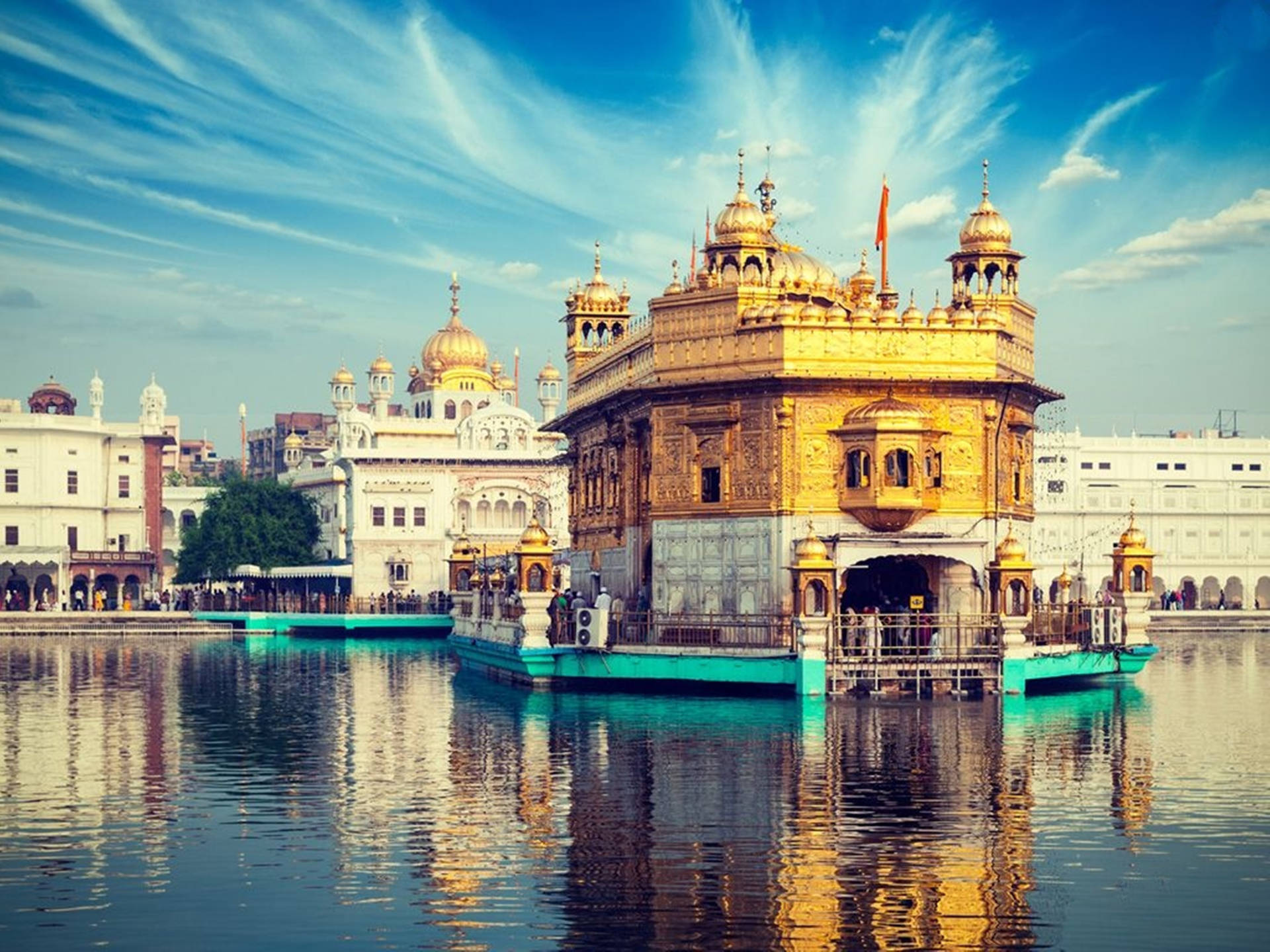 Ber Tree With The Golden Temple HD Wallpaper