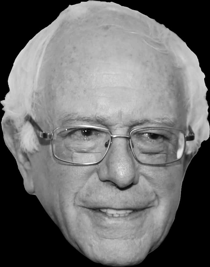 Bernie Sanders Blackand White Portrait PNG