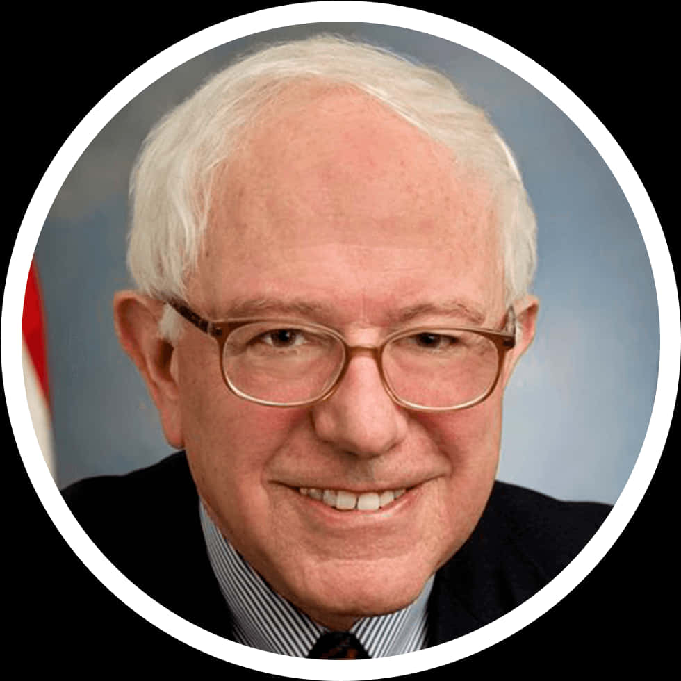Bernie Sanders Portrait PNG