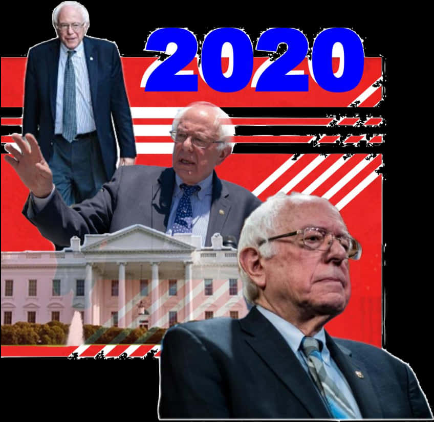 Bernie Sanders2020 Campaign Collage PNG