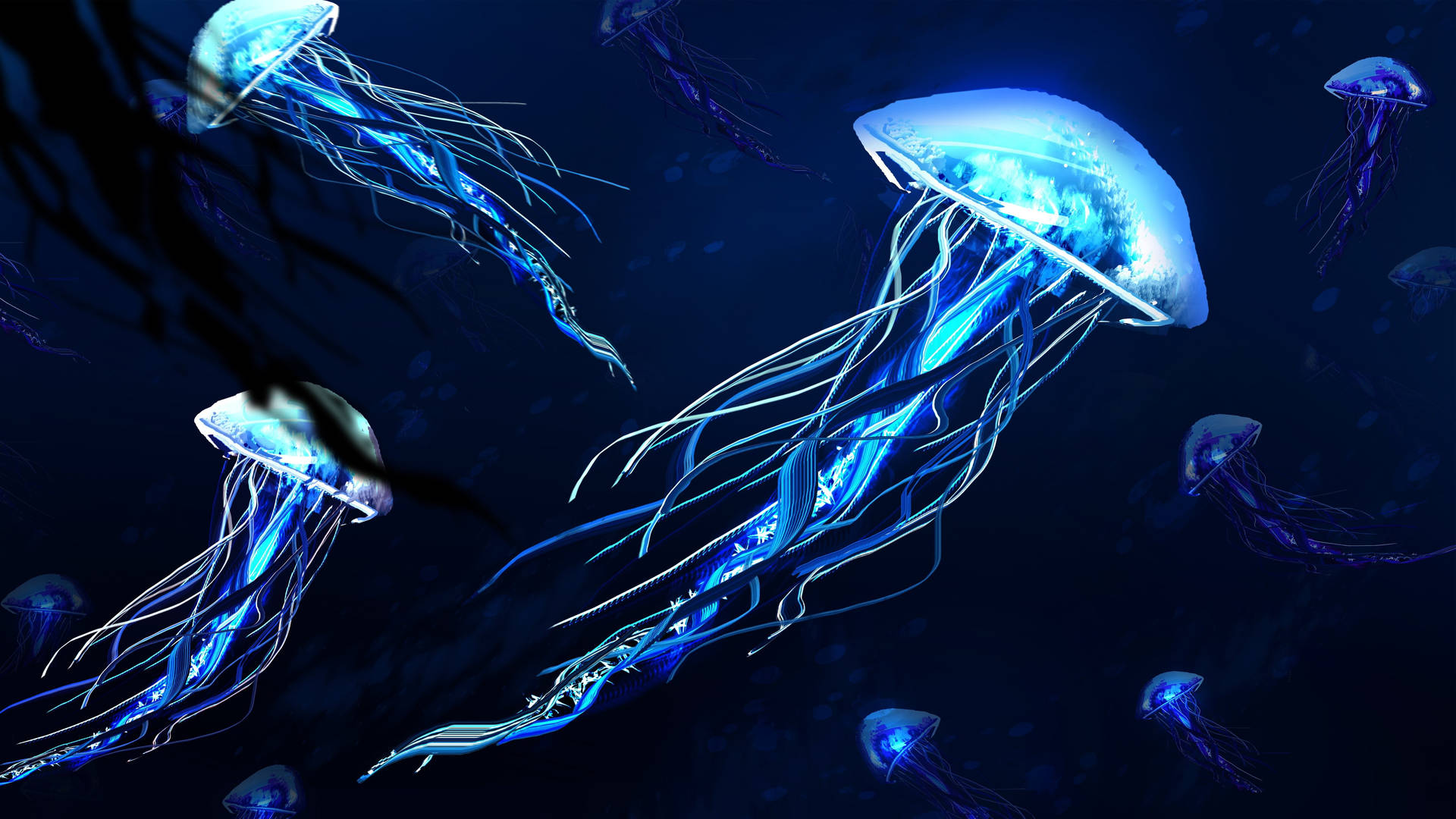 Best 4k Uhd Neon Jellyfishes Wallpaper