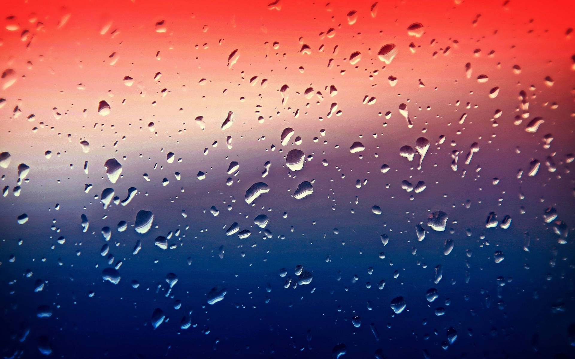 Best 4k Uhd Water Droplets Picture