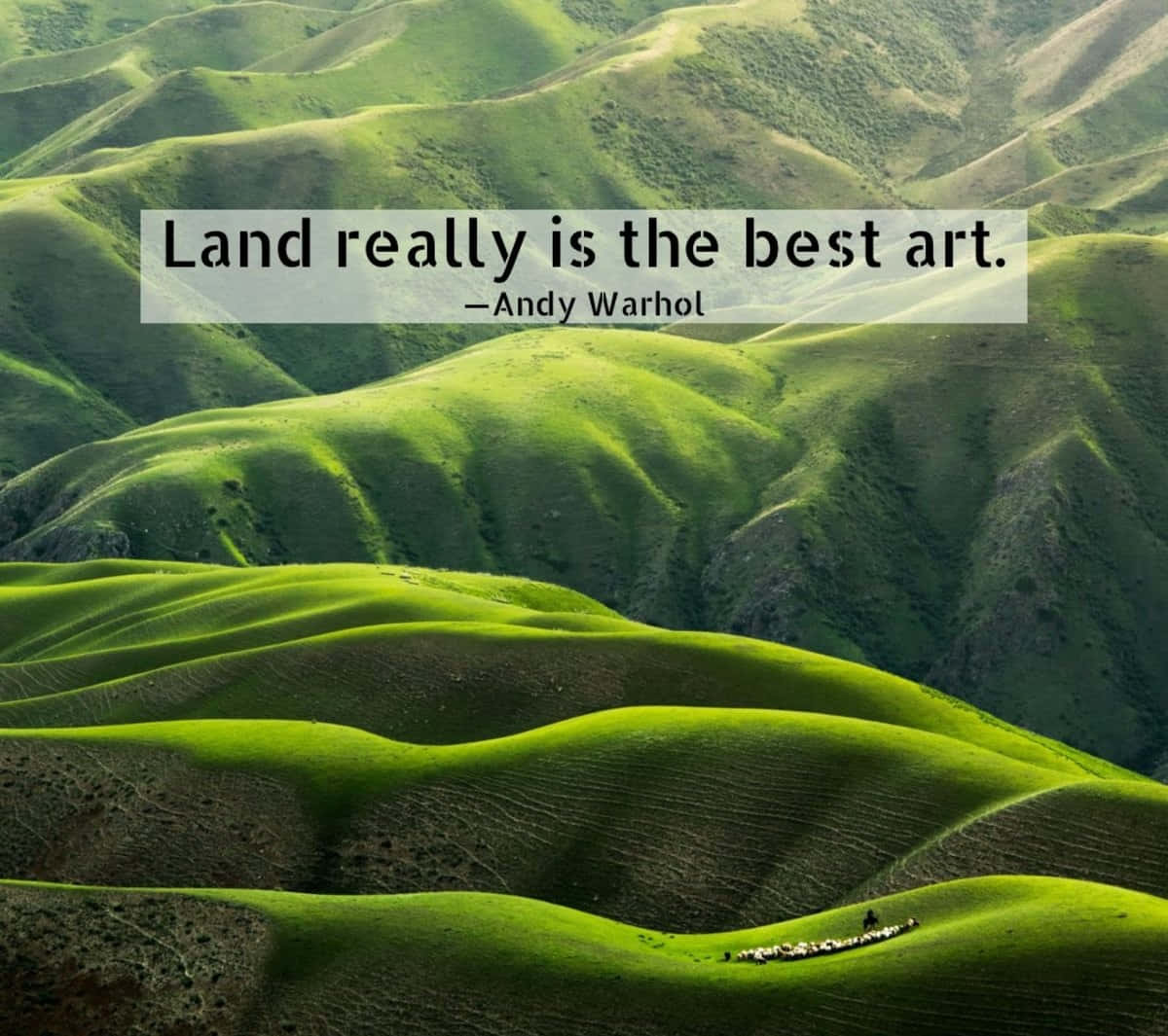 Best_ Art_ Land_ Quote_ Andy_ Warhol Wallpaper