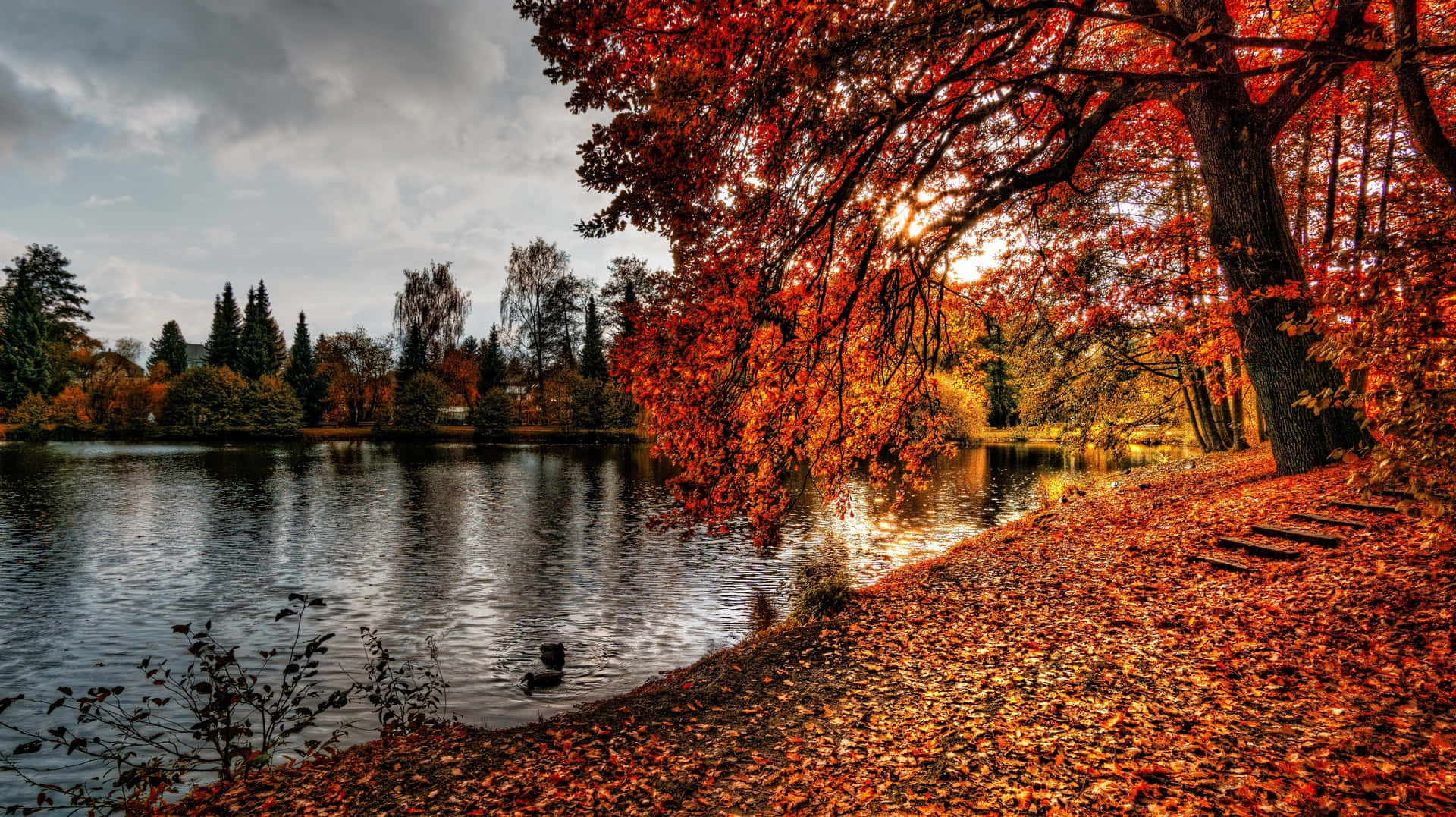 Stunning autumn background with vibrant hues