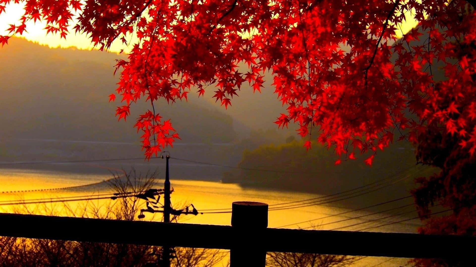 Golden Autumn Forest in the Warm Sunlight