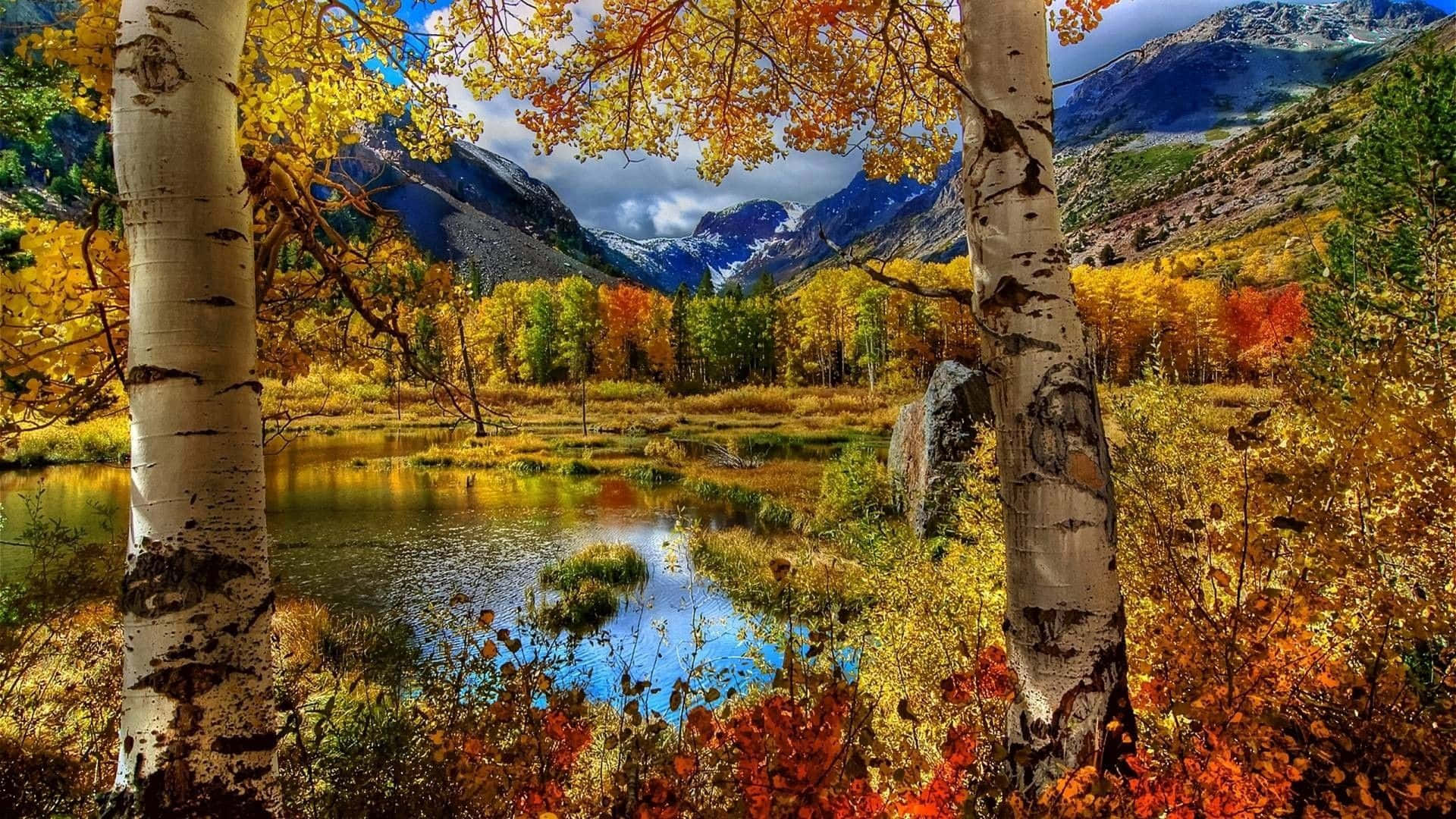 Caption: Enchanting Autumn Forest Path