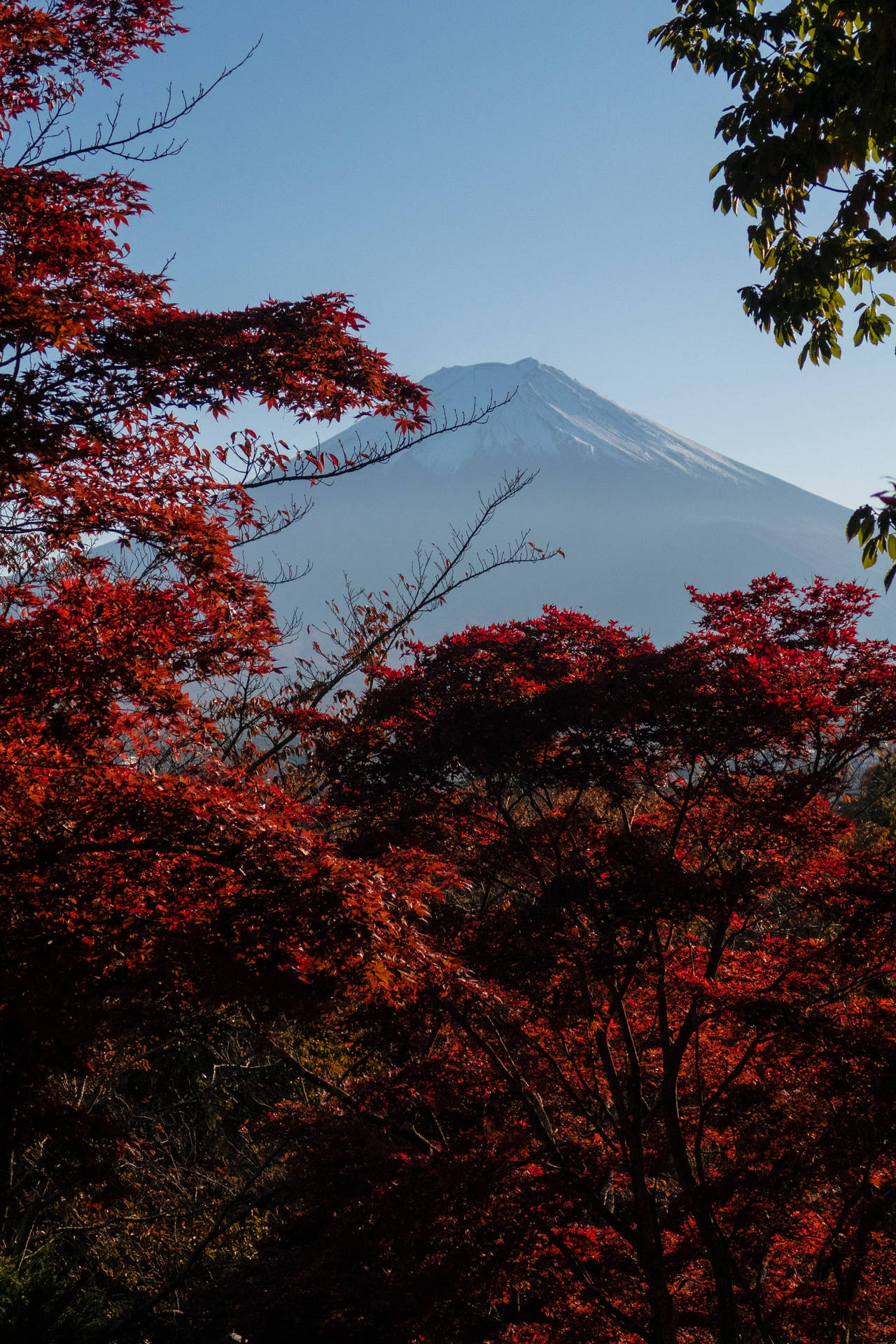 Vackrastehöst Mount Fuji. Wallpaper