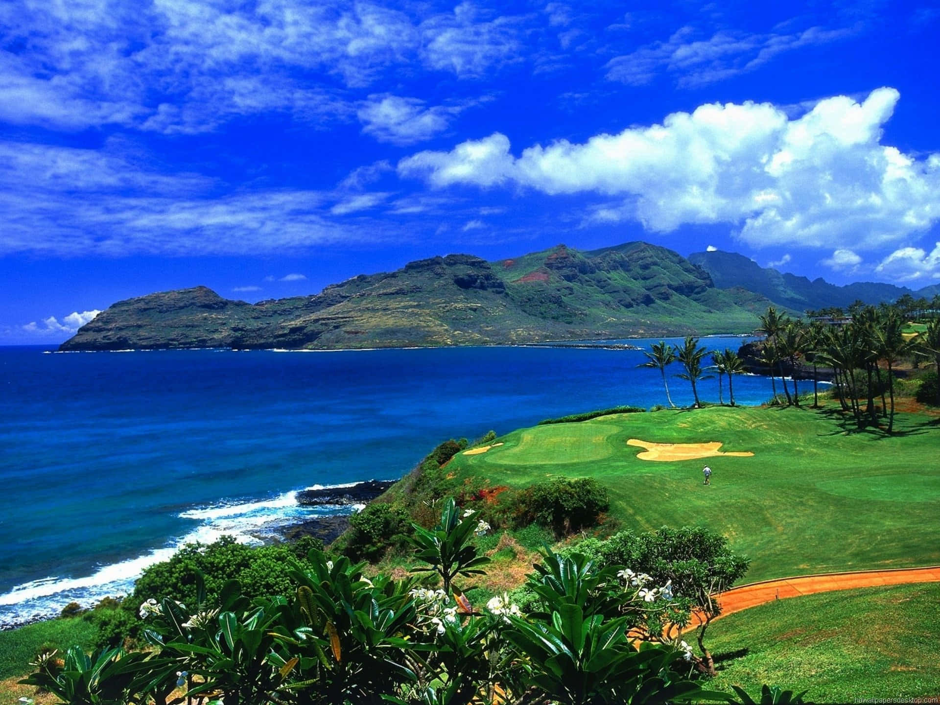 a golf course near the ocean