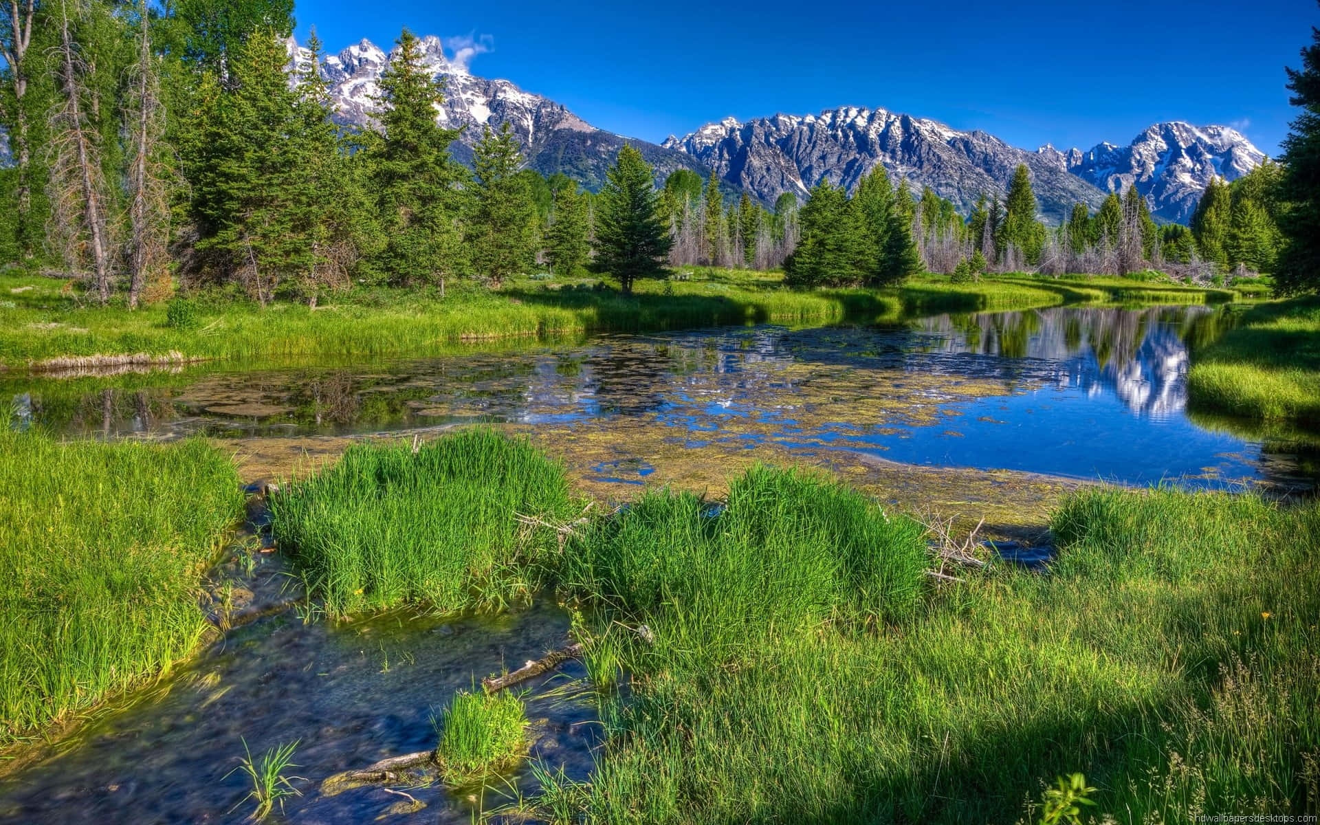a lake surrounded by mountains and grass