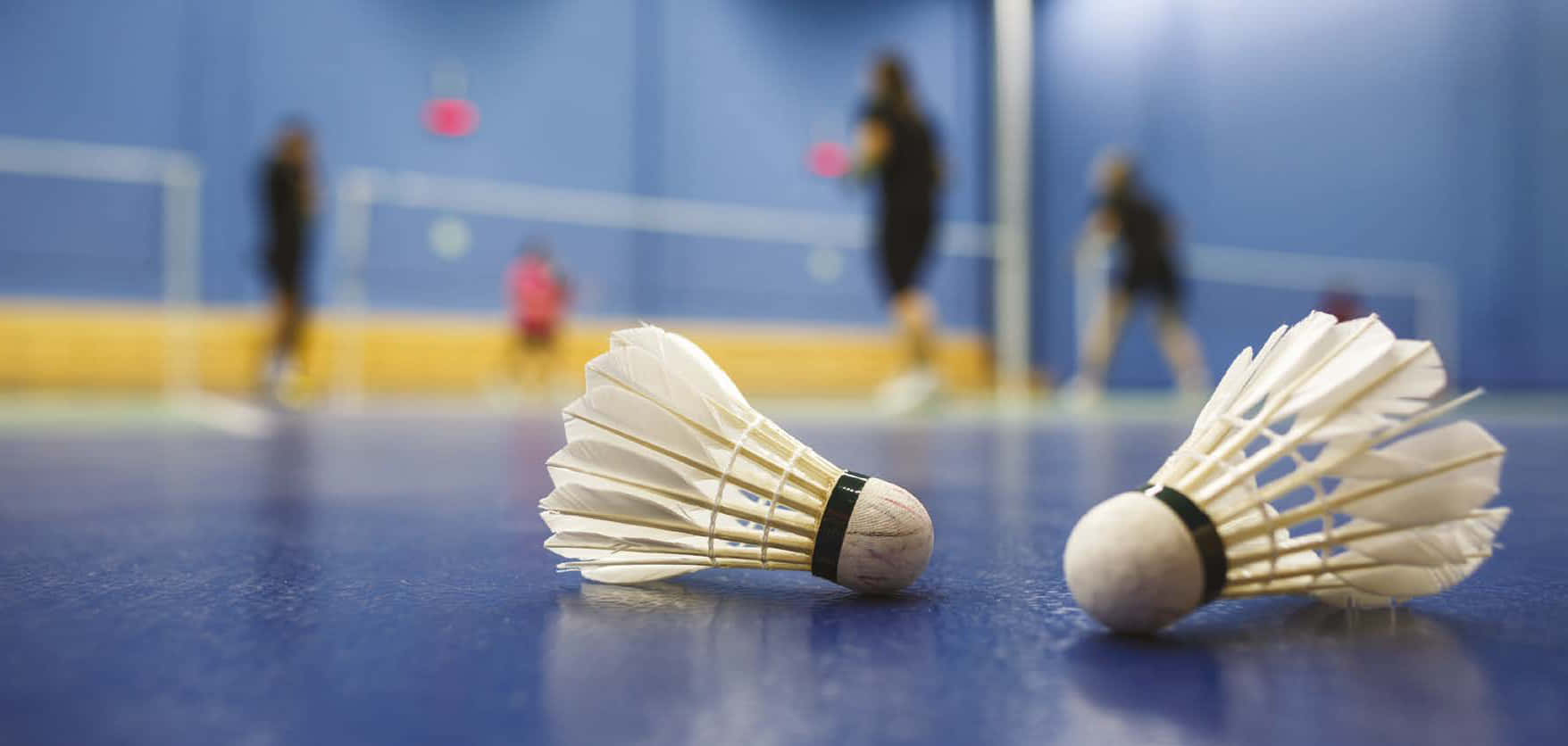 Badminton Court With Two Shuttlecocks On It
