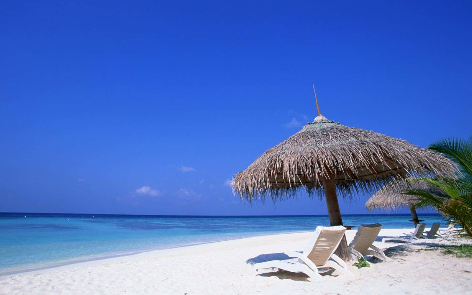 Lounge Chairs Under Straw Umbrella Best Beach Background
