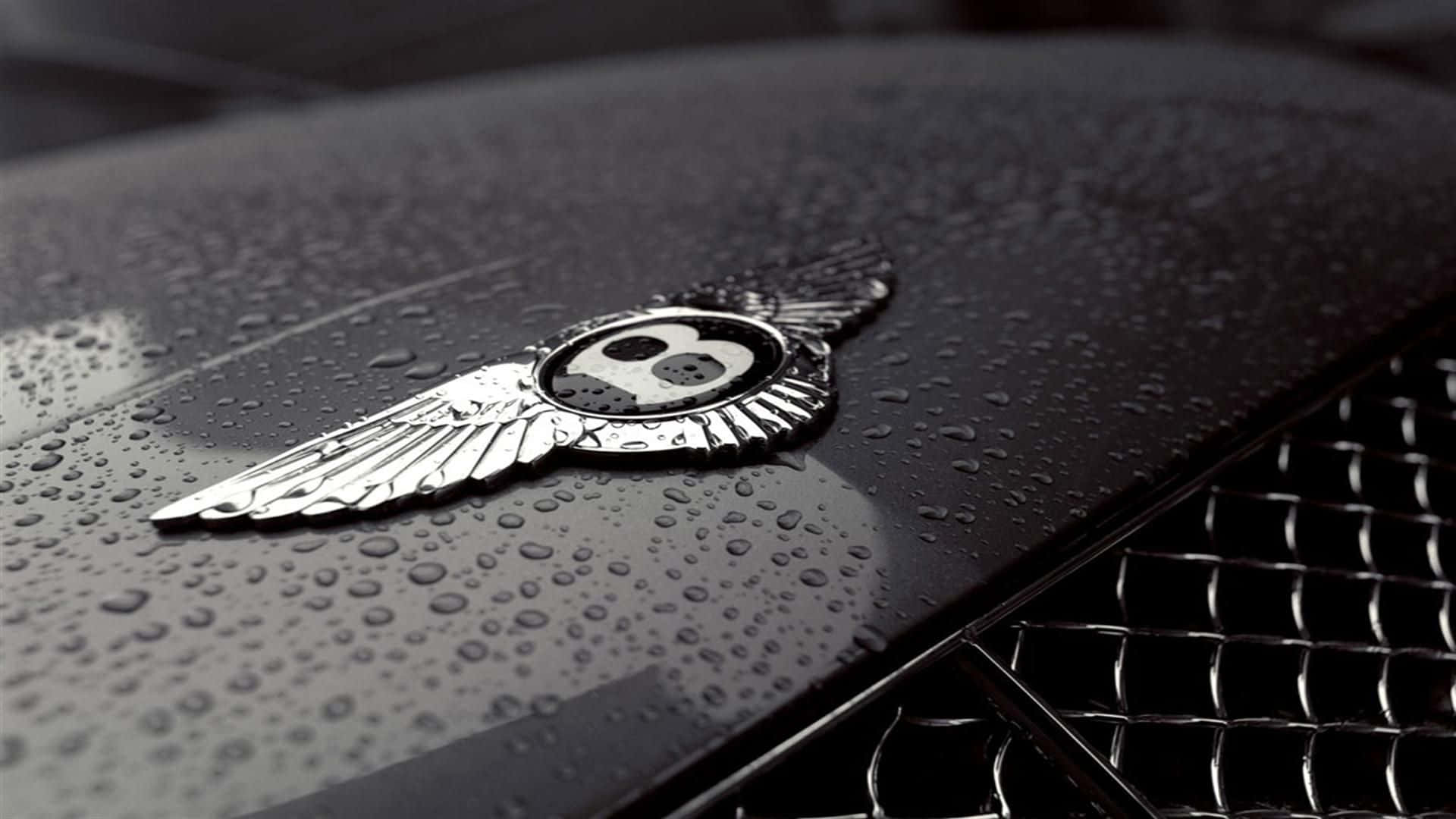 ¡prepáratepara Descubrir El Mejor Bentley!