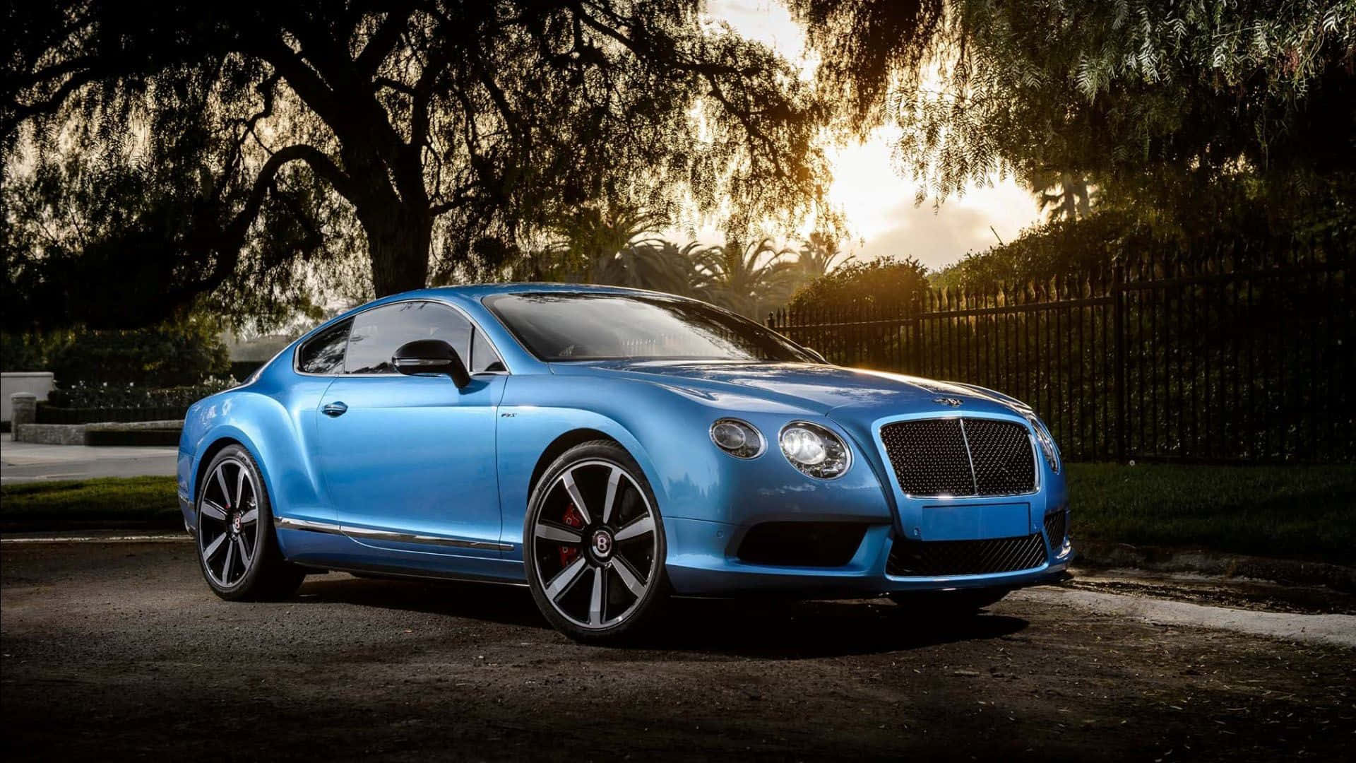 Experience luxury in a stylish Bentley.