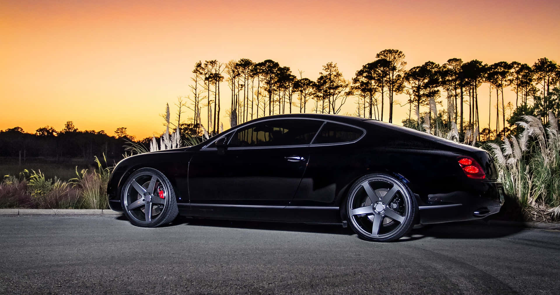 Feel the Luxury with Best Bentley