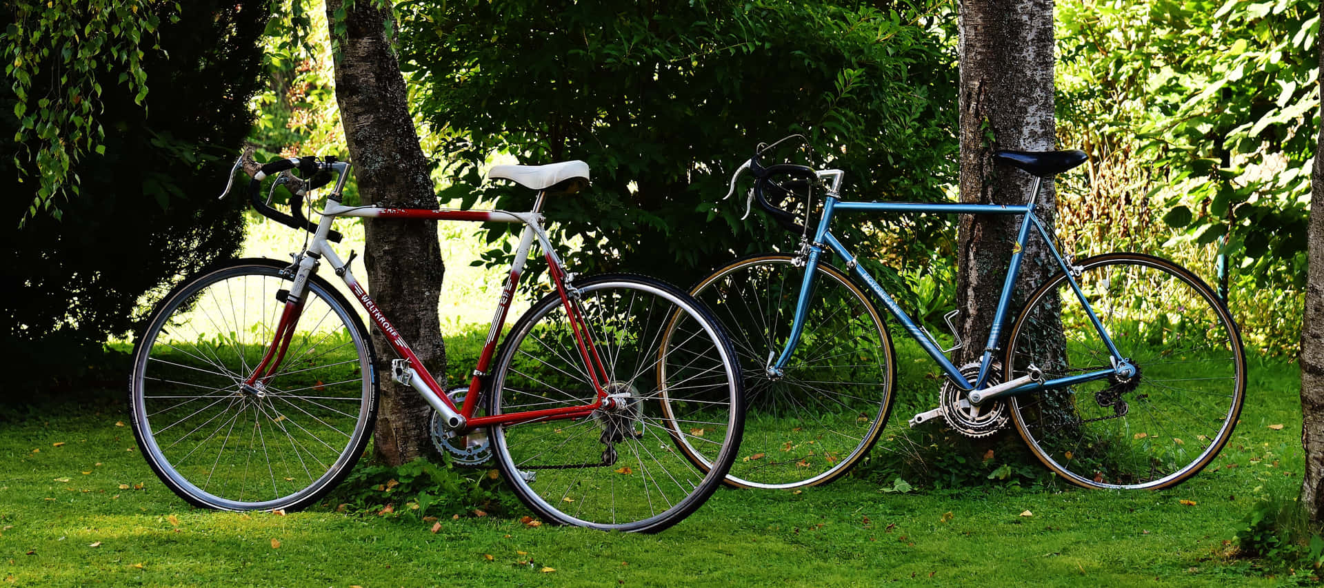Two Cycling Best Bikes Background