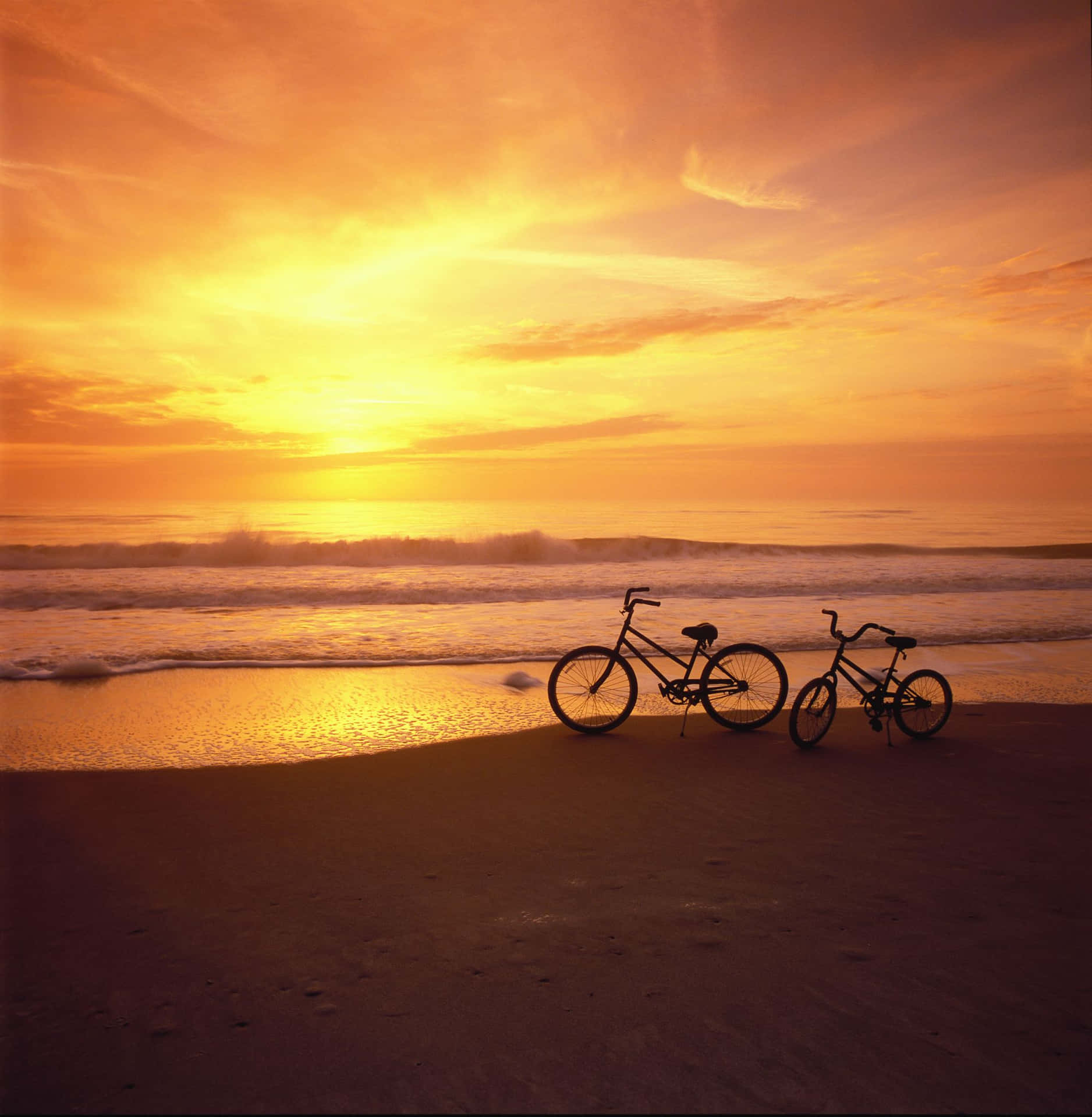 Silhouettes Of Best Bikes Background
