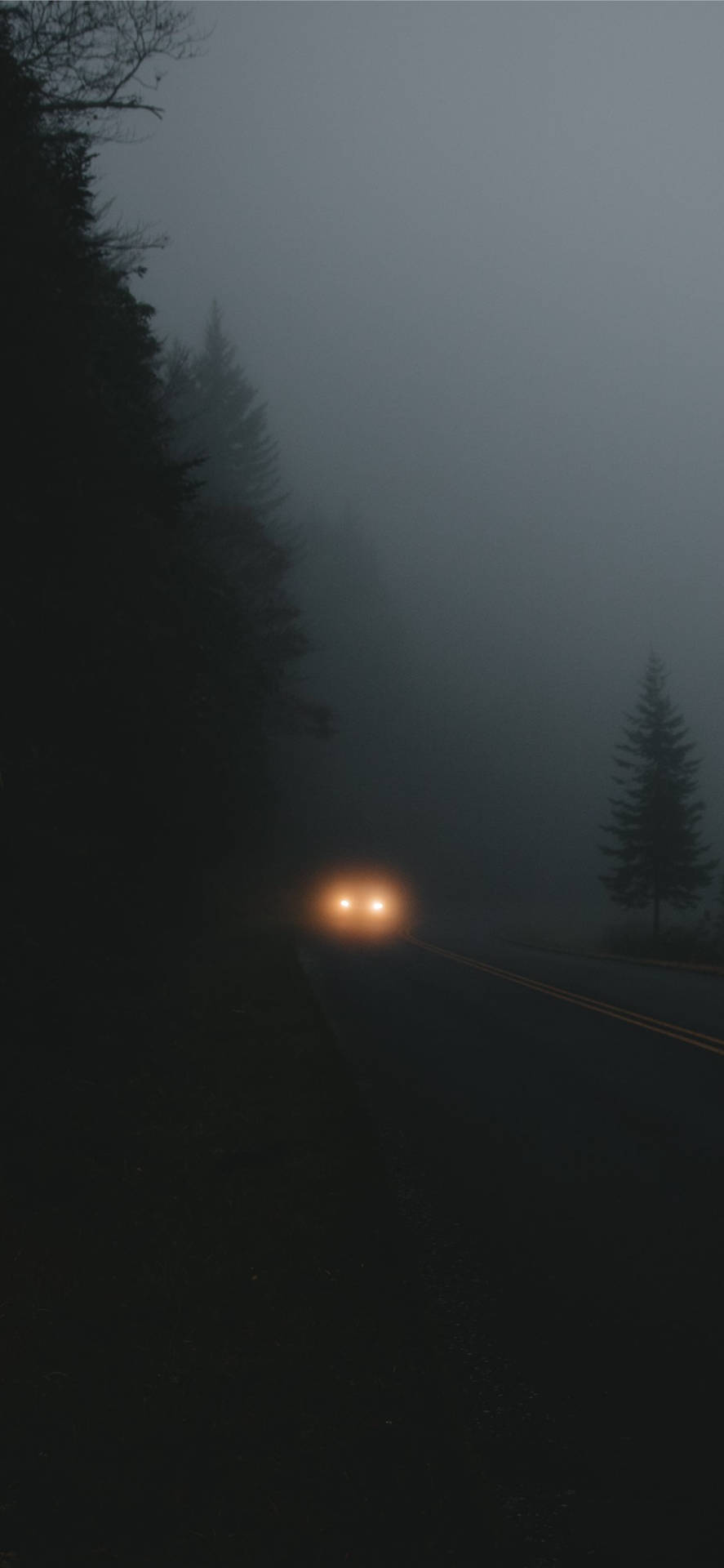 Best Dark iPhone Foggy Road Wallpaper