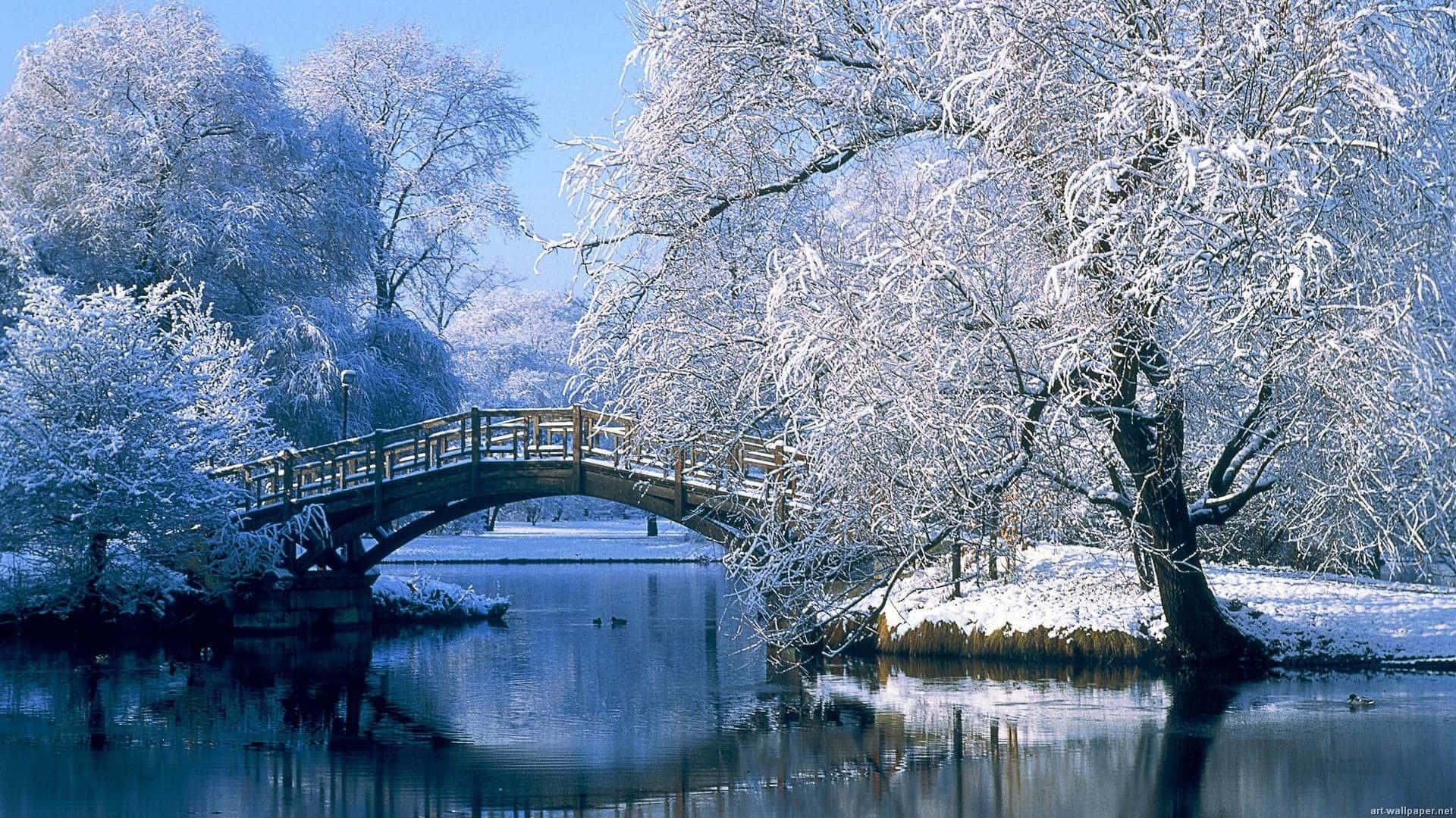Mejorfondo De Pantalla Para Pc De Escritorio: Puente Del Parque En Un Paisaje Invernal.