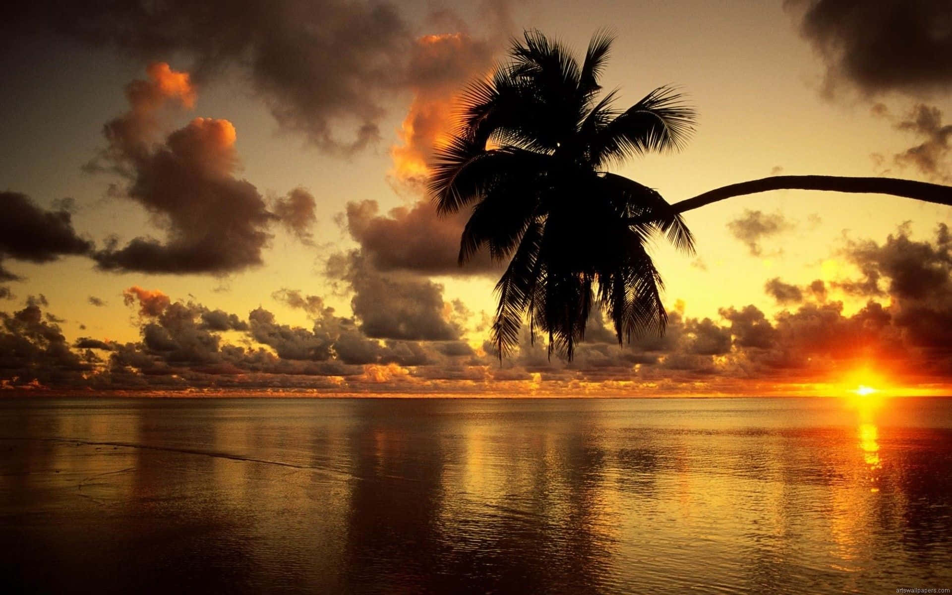 Bedste Skrivebords-PC Baggrund Solnedgang på stranden