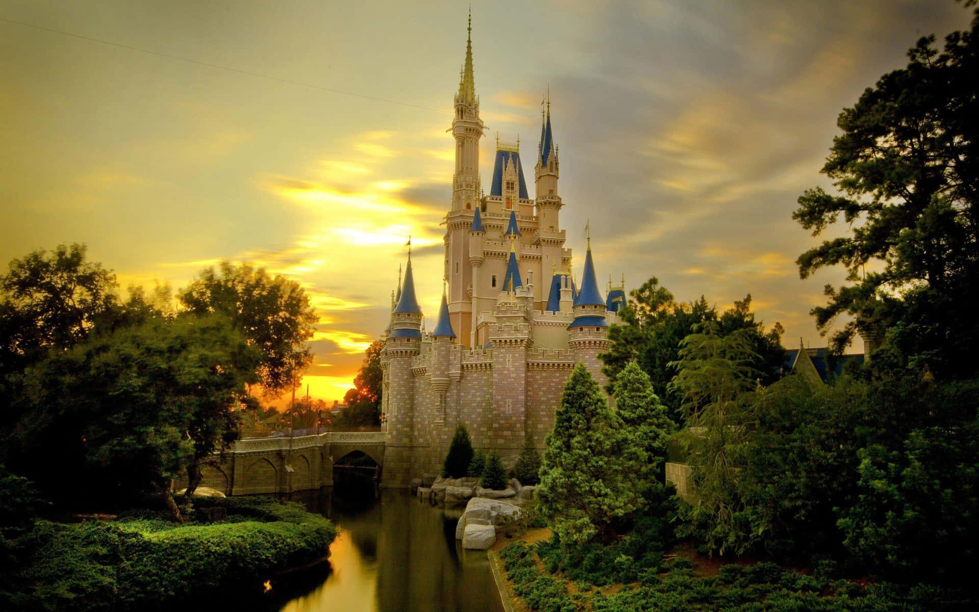 Bedste Disney Baggrund Faktisk Disney Castle