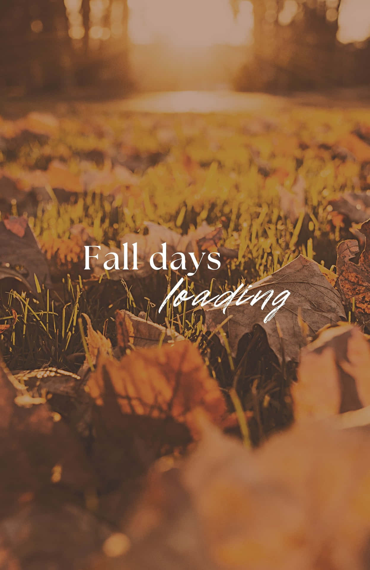 Enjoy the beauty of fall!